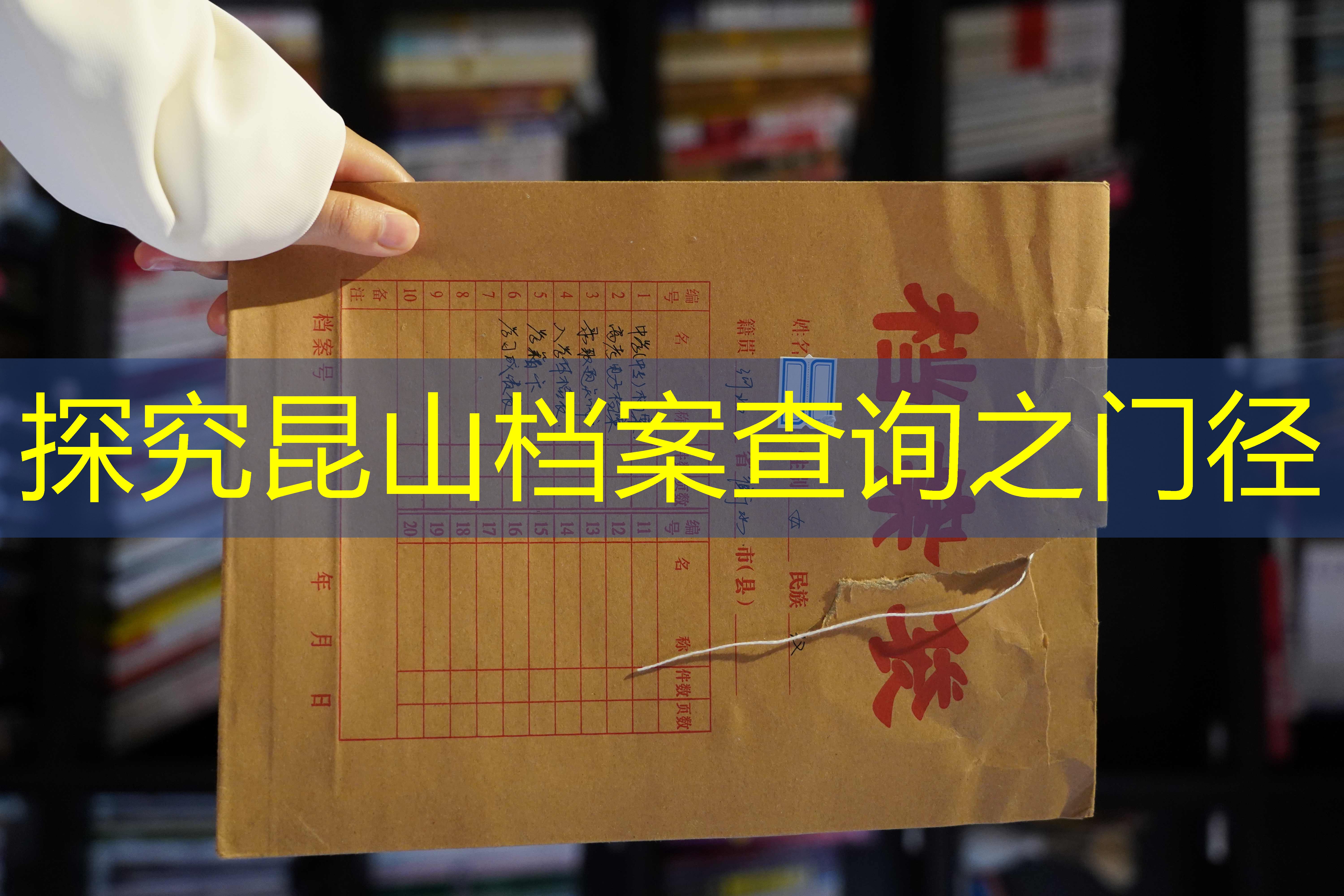 档案查询