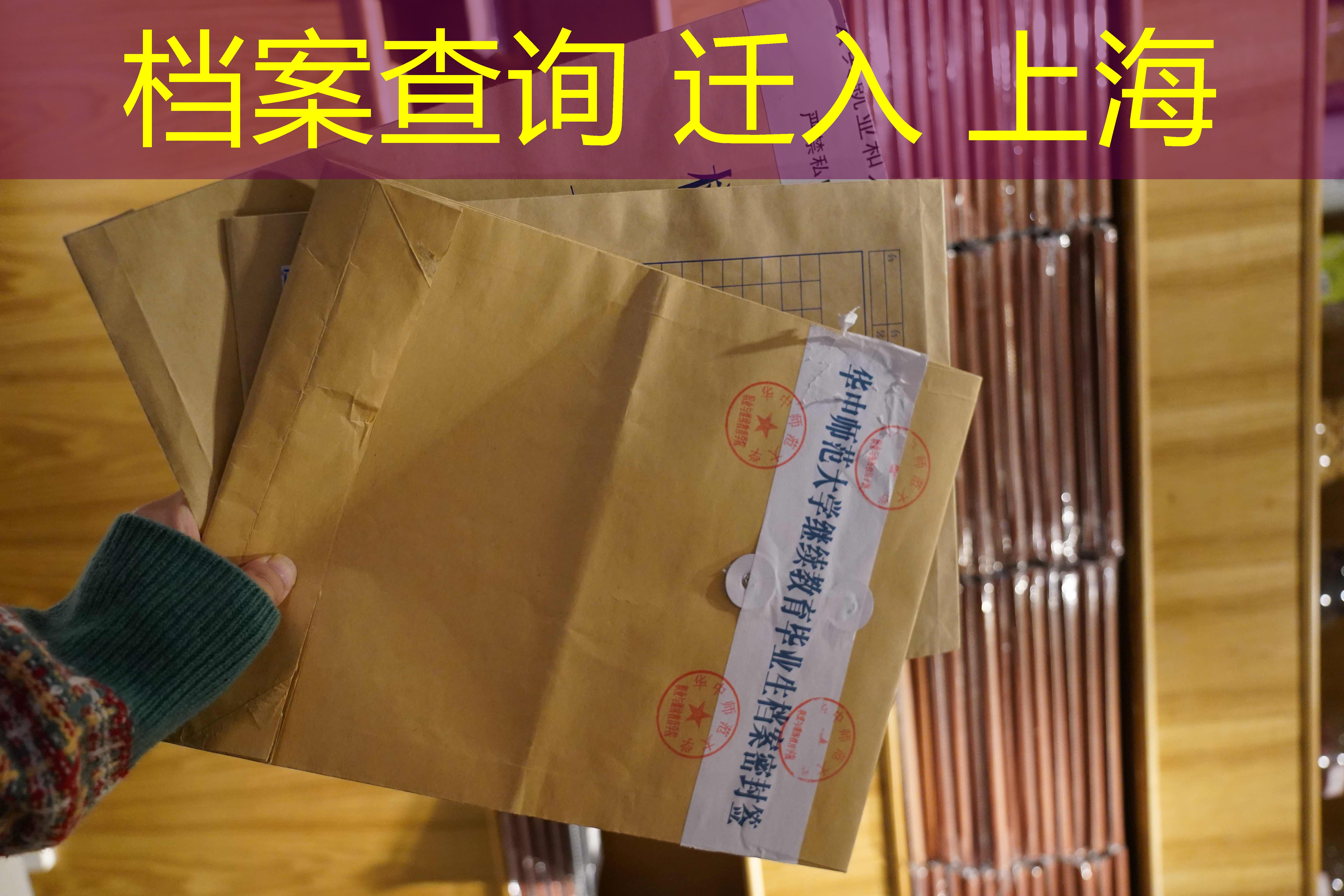 档案查询