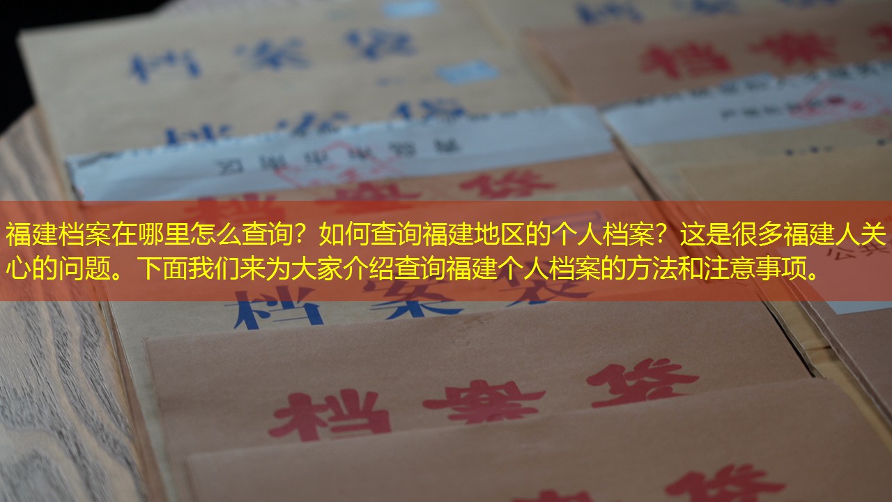 档案查询