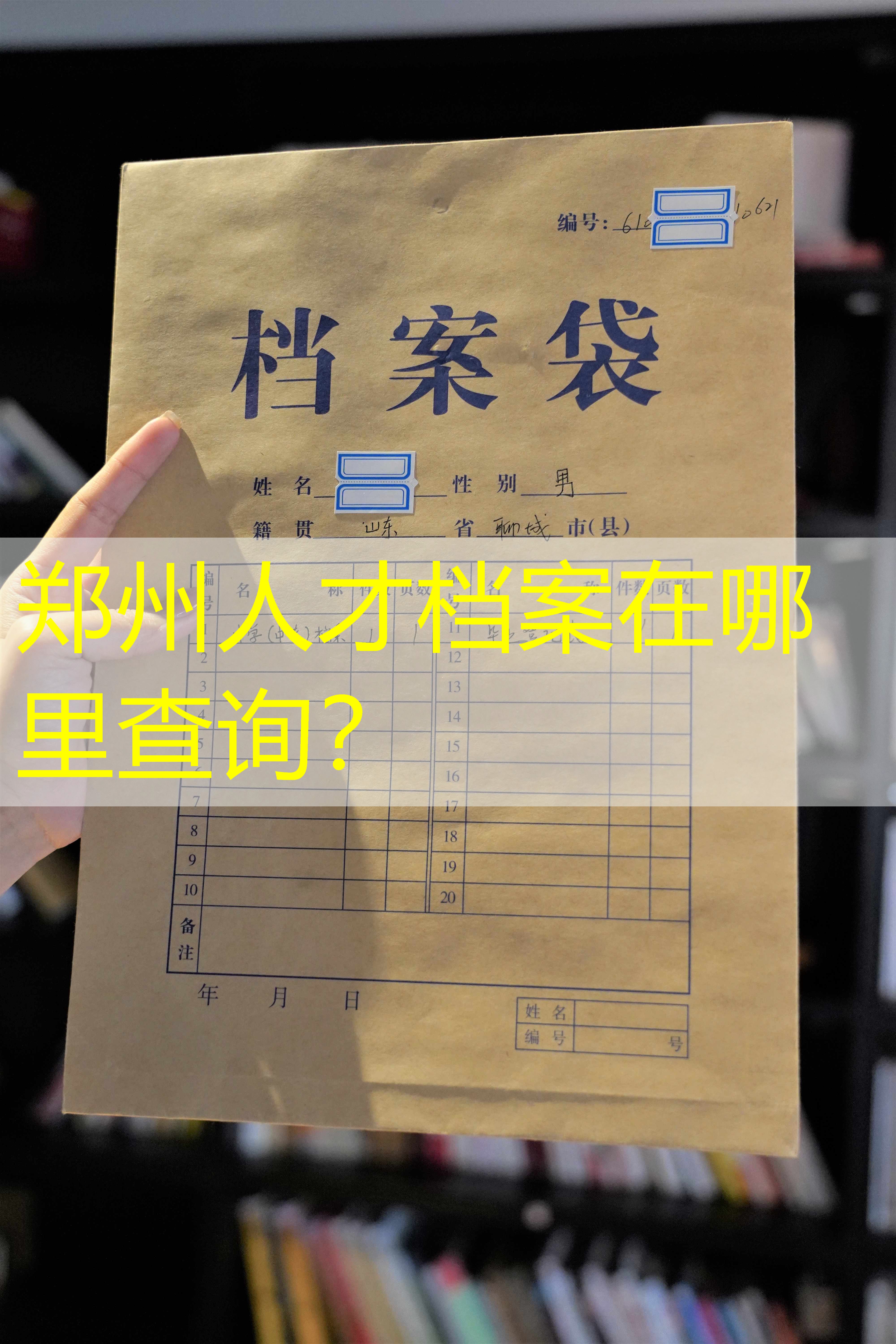 档案查询