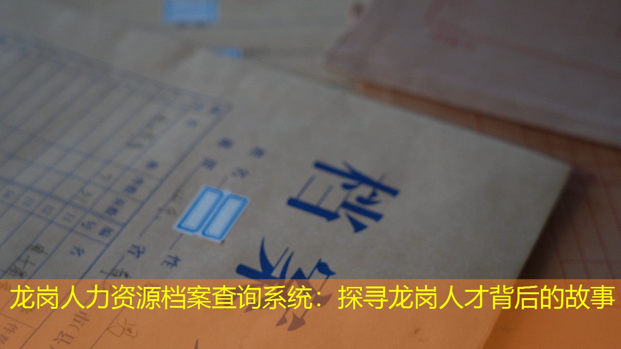 档案查询