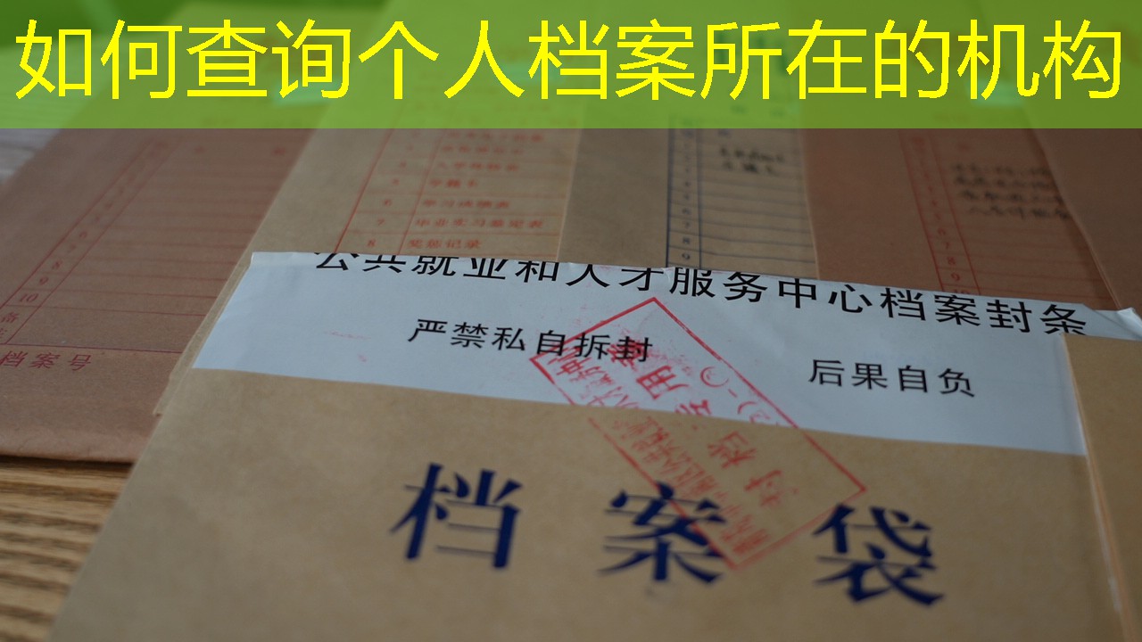 档案查询