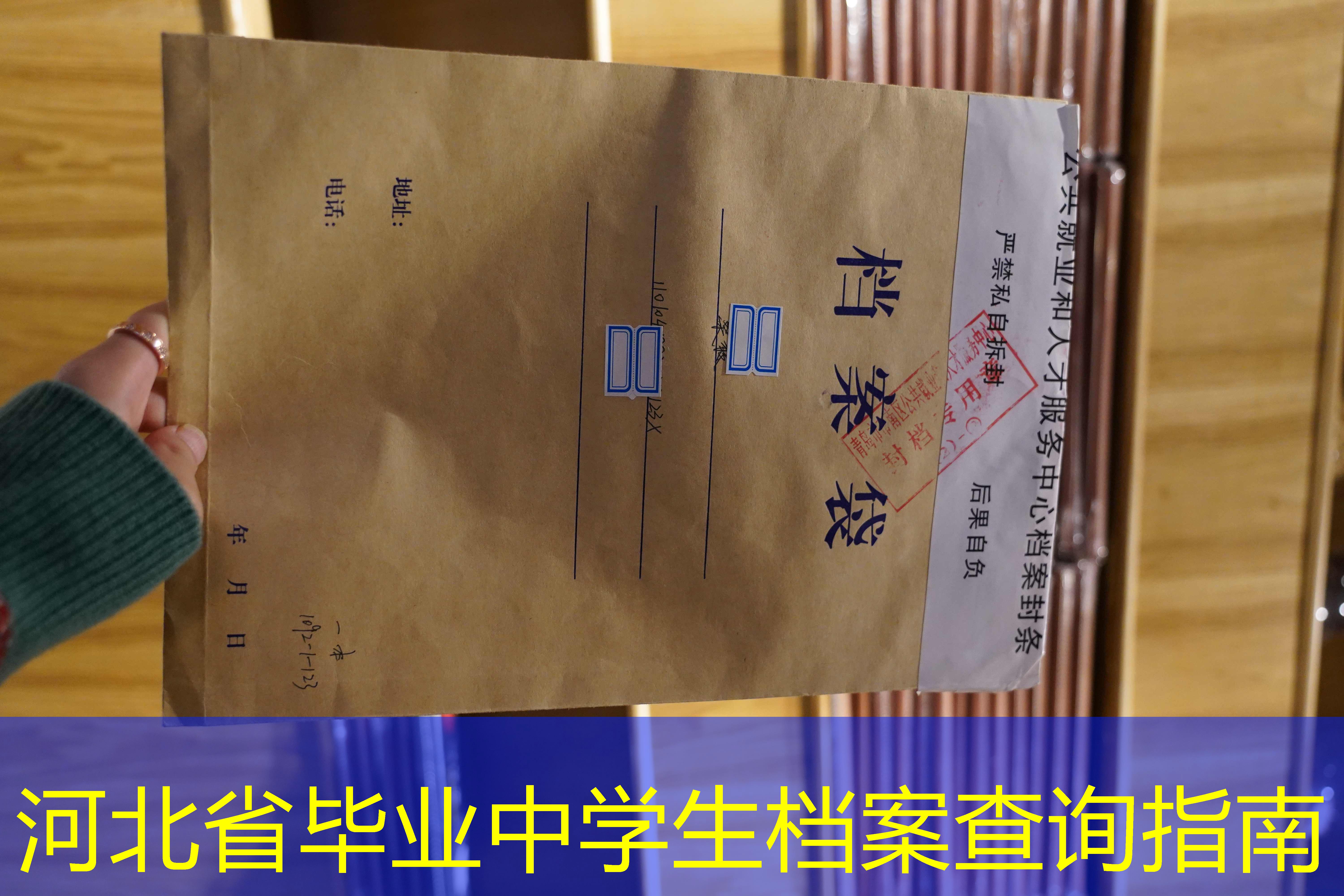 档案查询