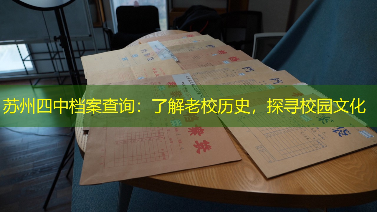 档案查询