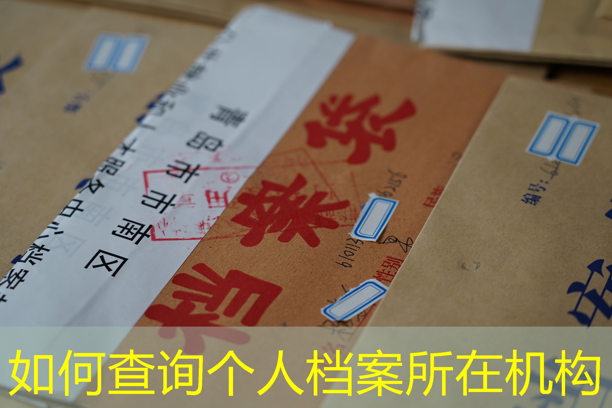档案查询