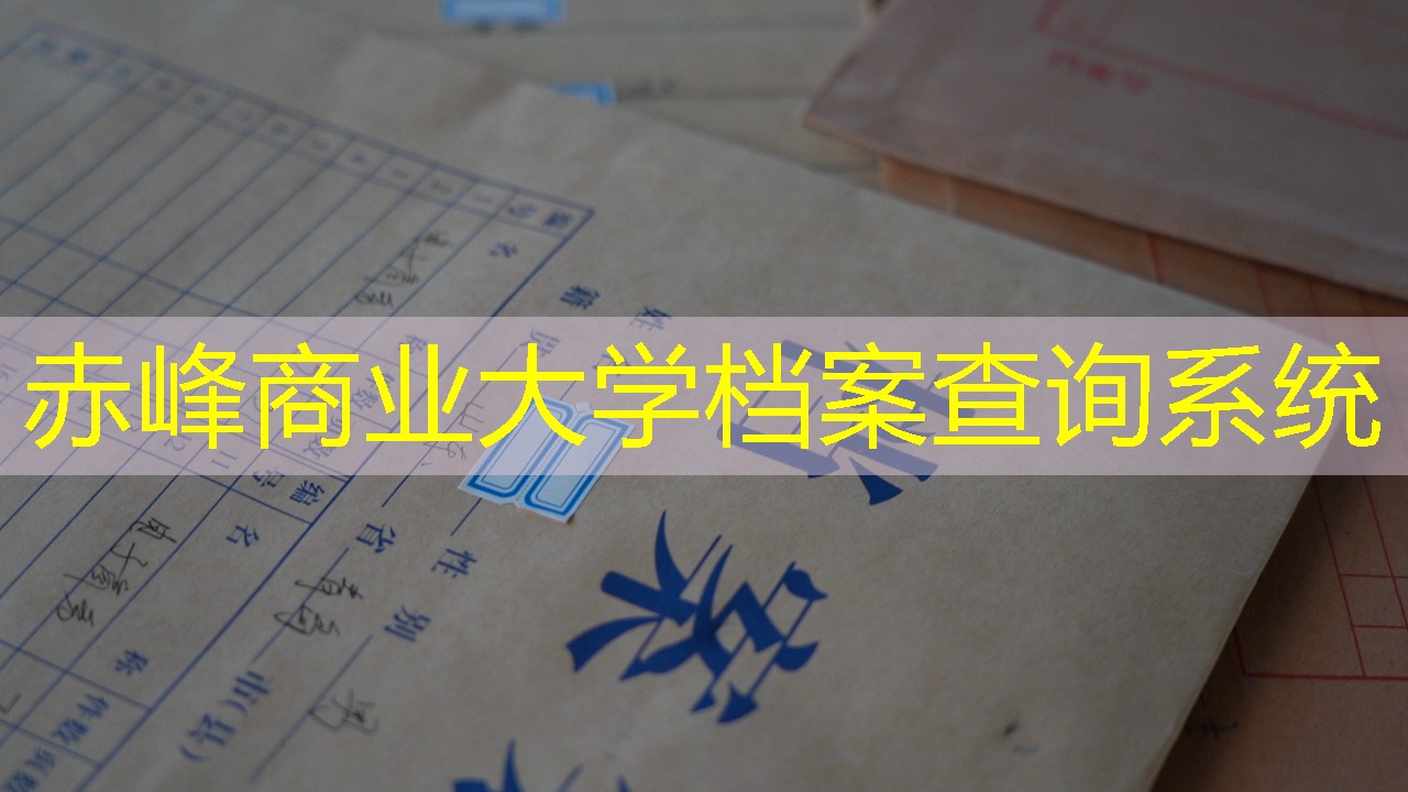 档案查询