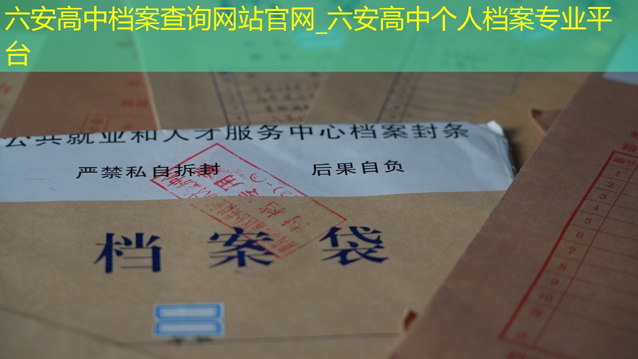 档案查询