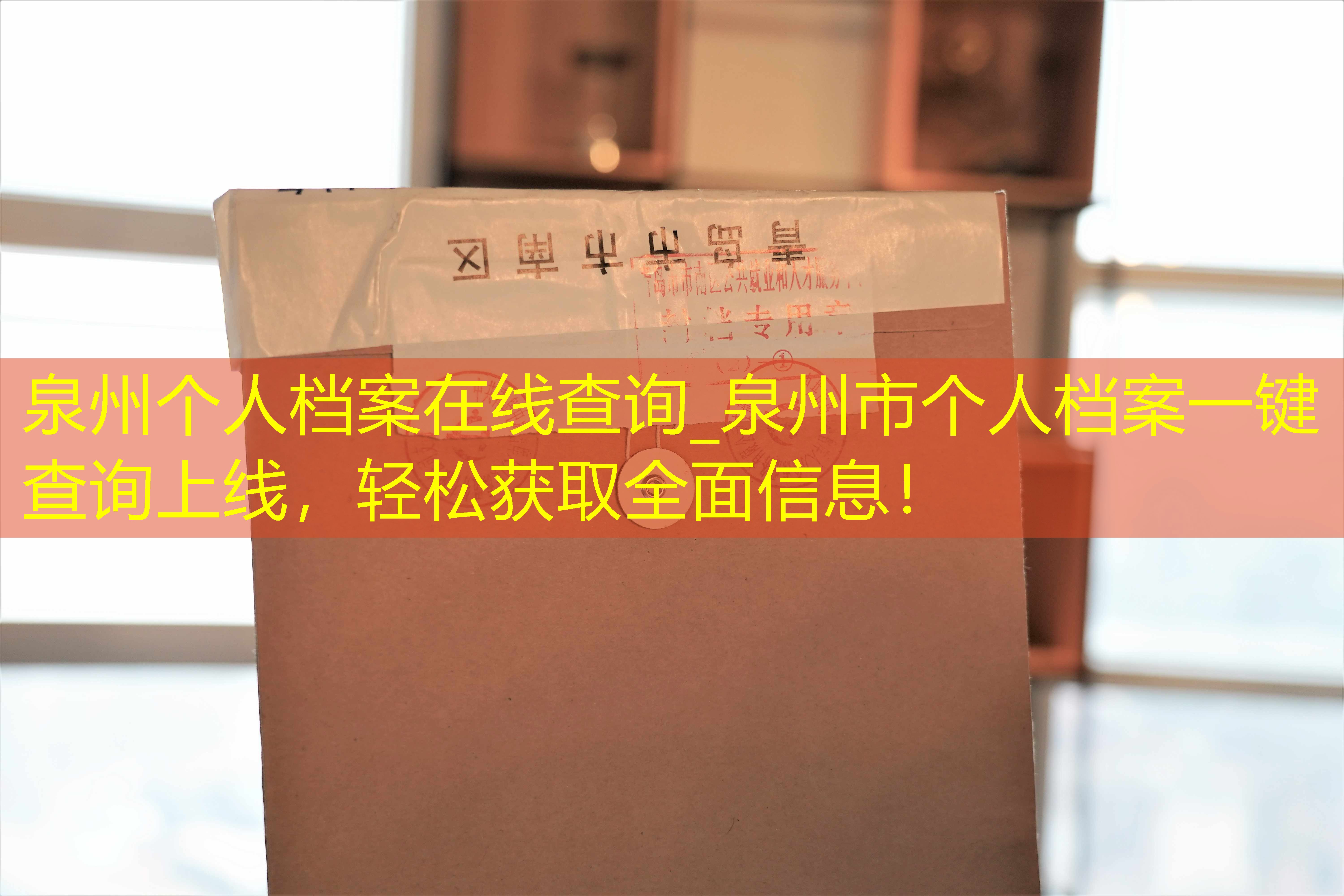 档案查询