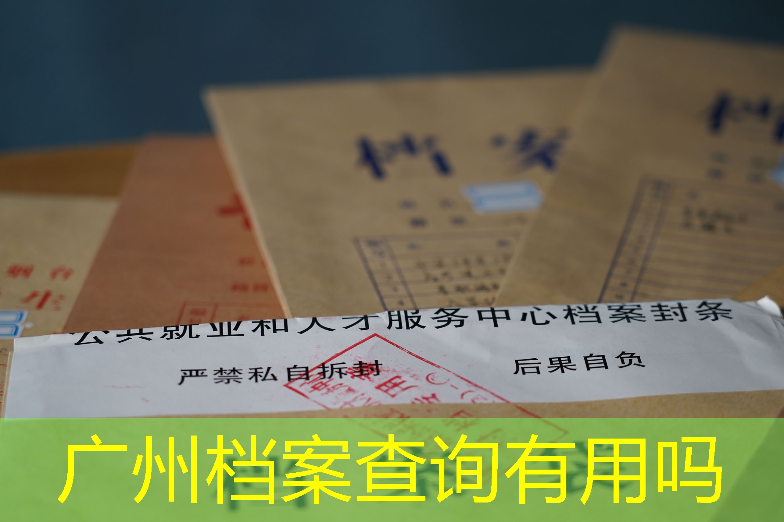 档案查询