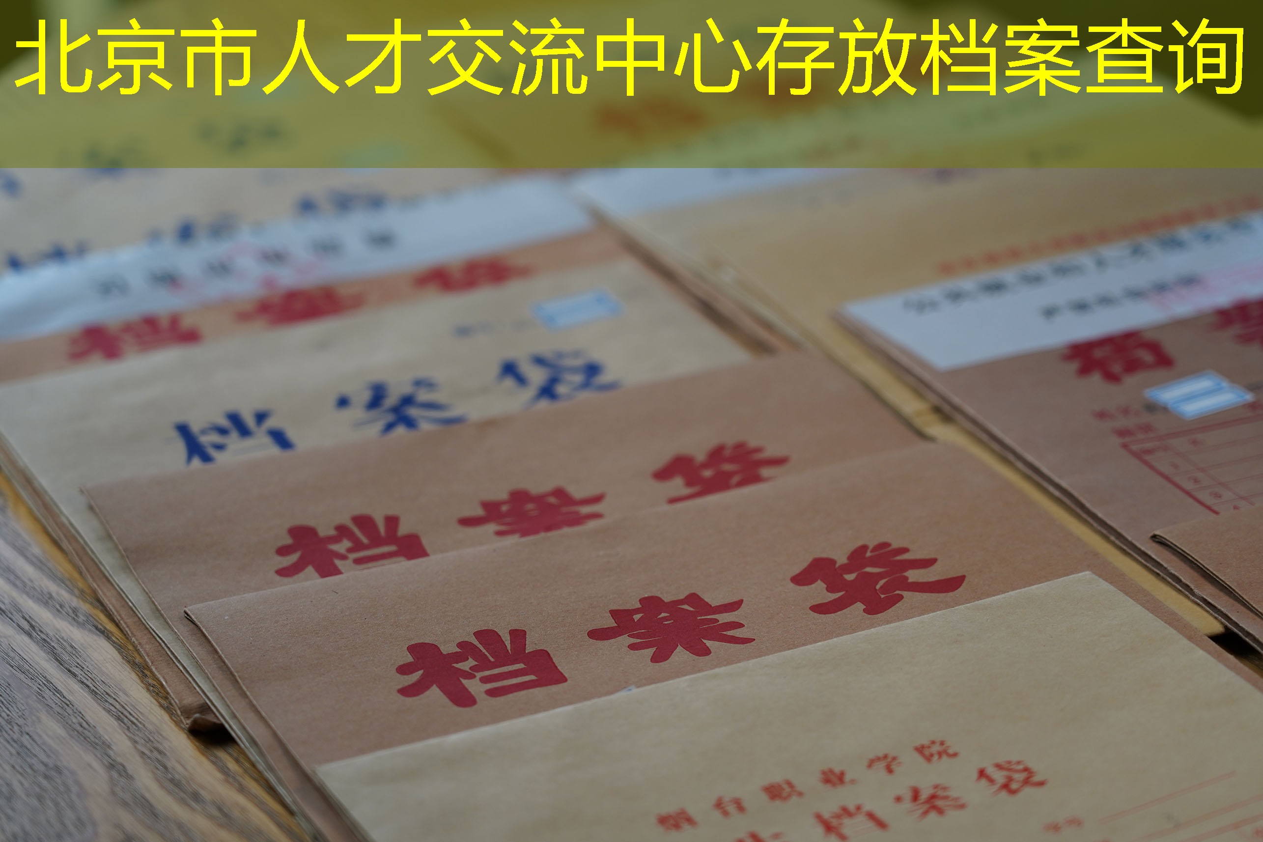 档案查询