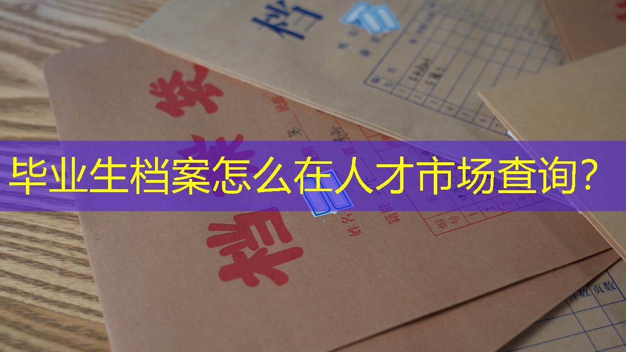 档案查询