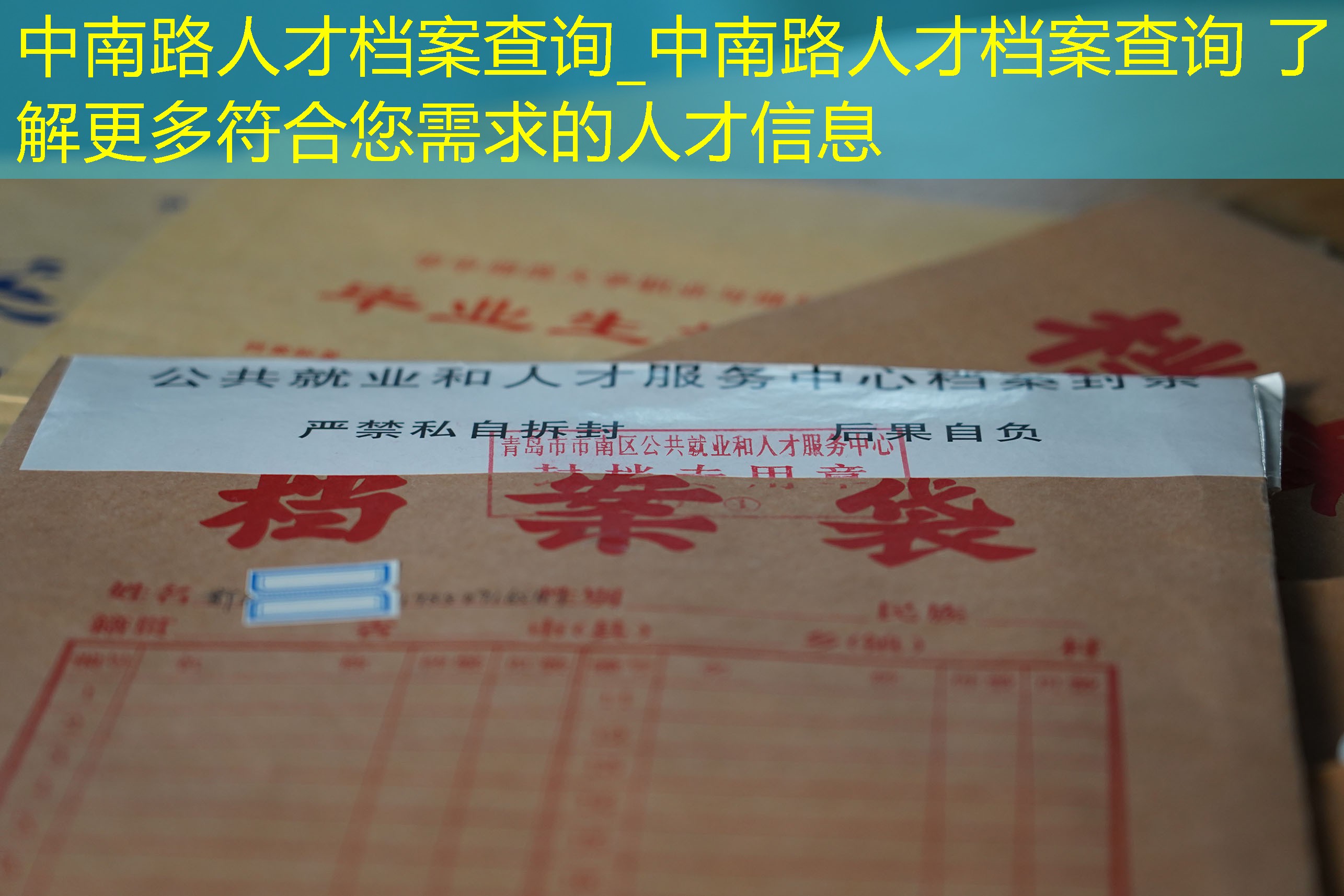 档案查询