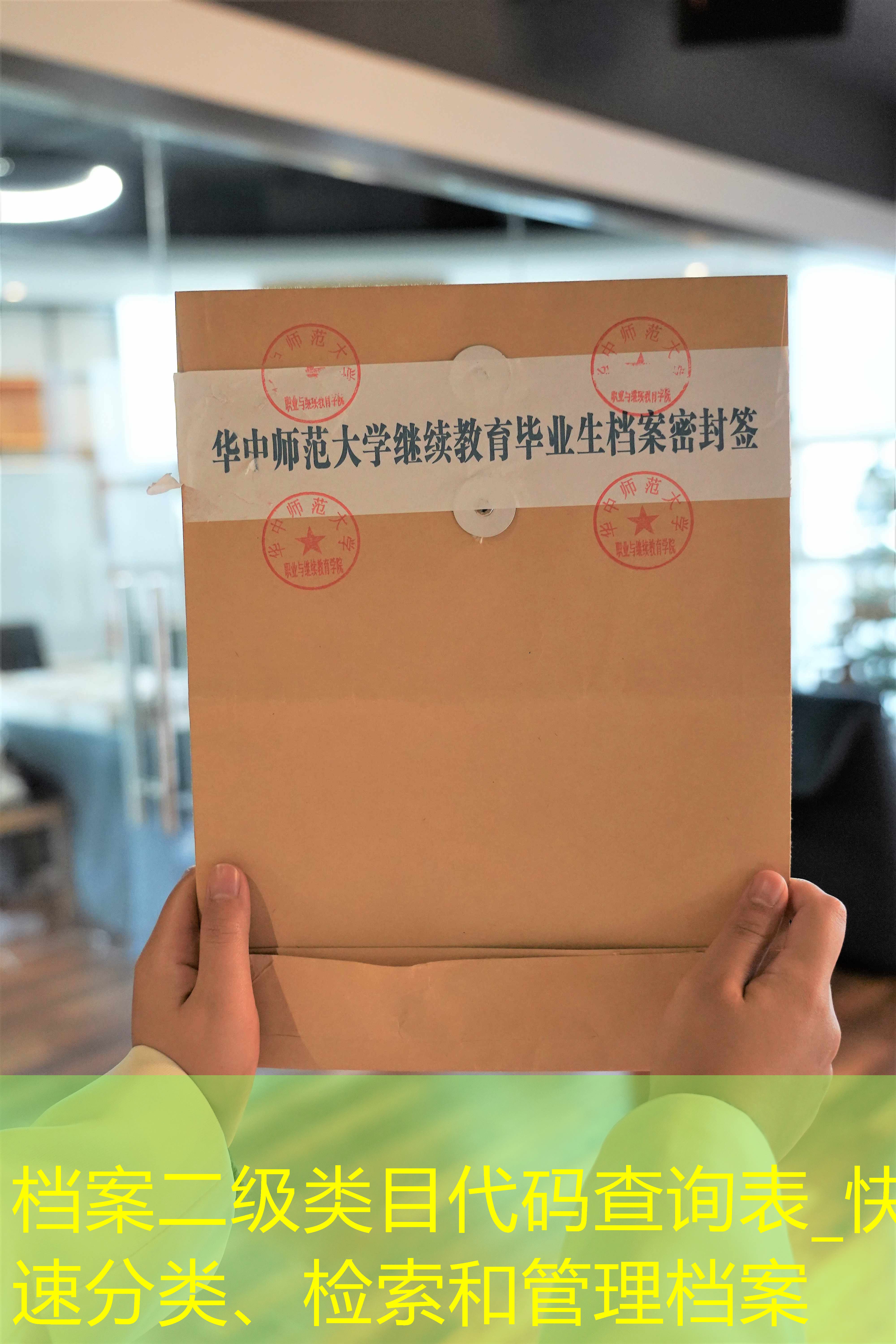 档案查询