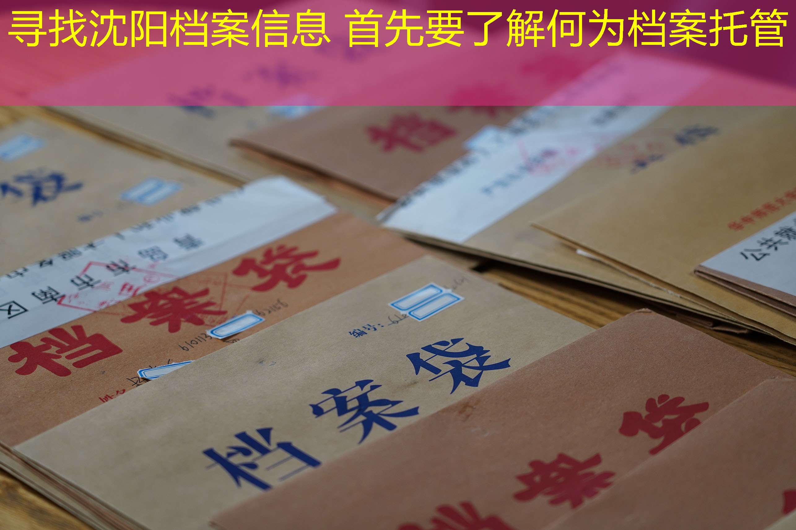 档案查询