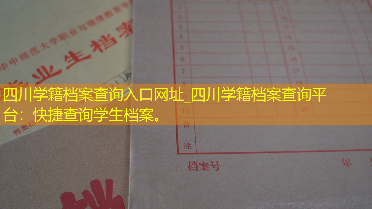 档案查询
