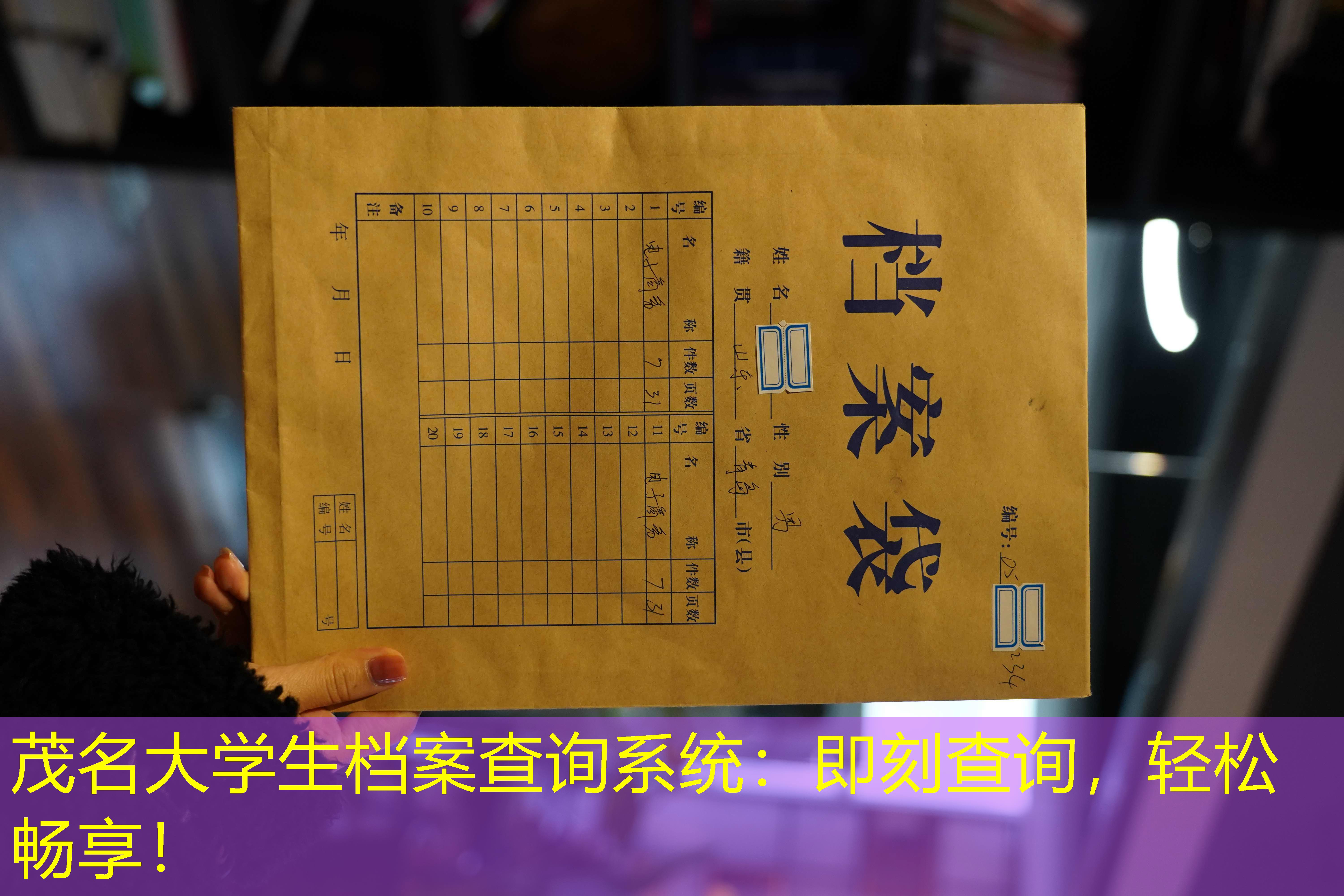 档案查询
