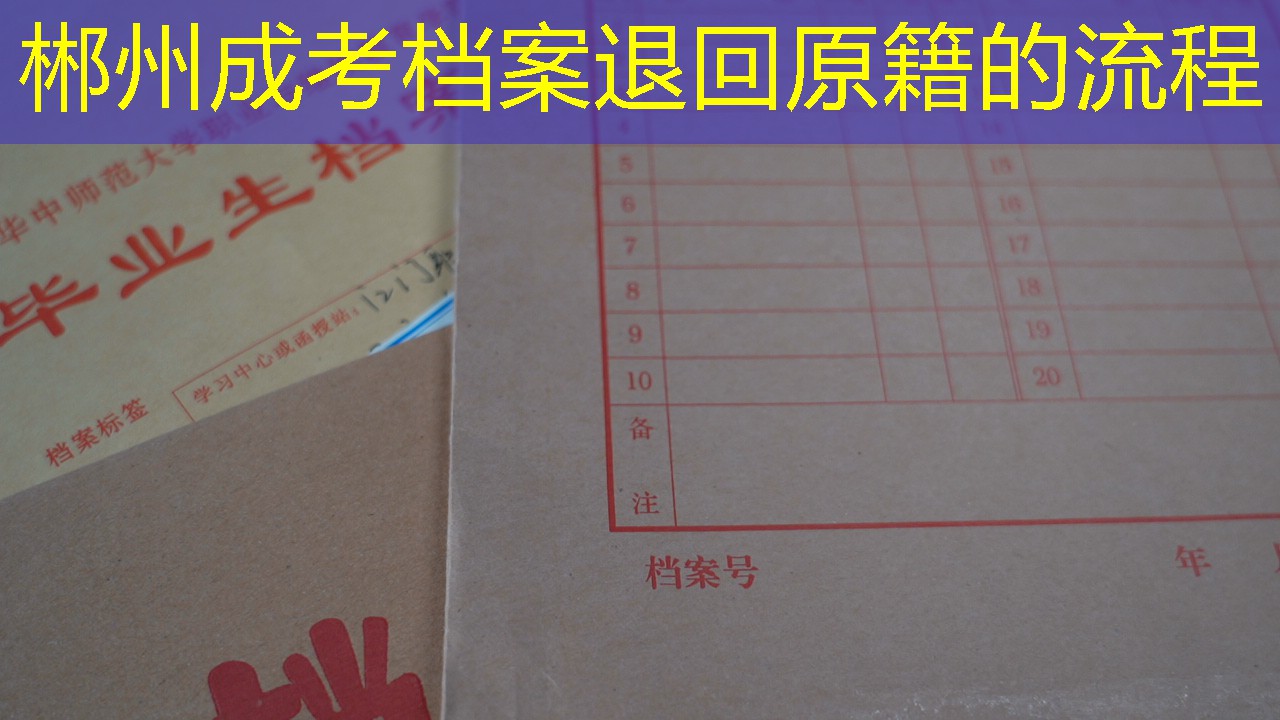 档案查询