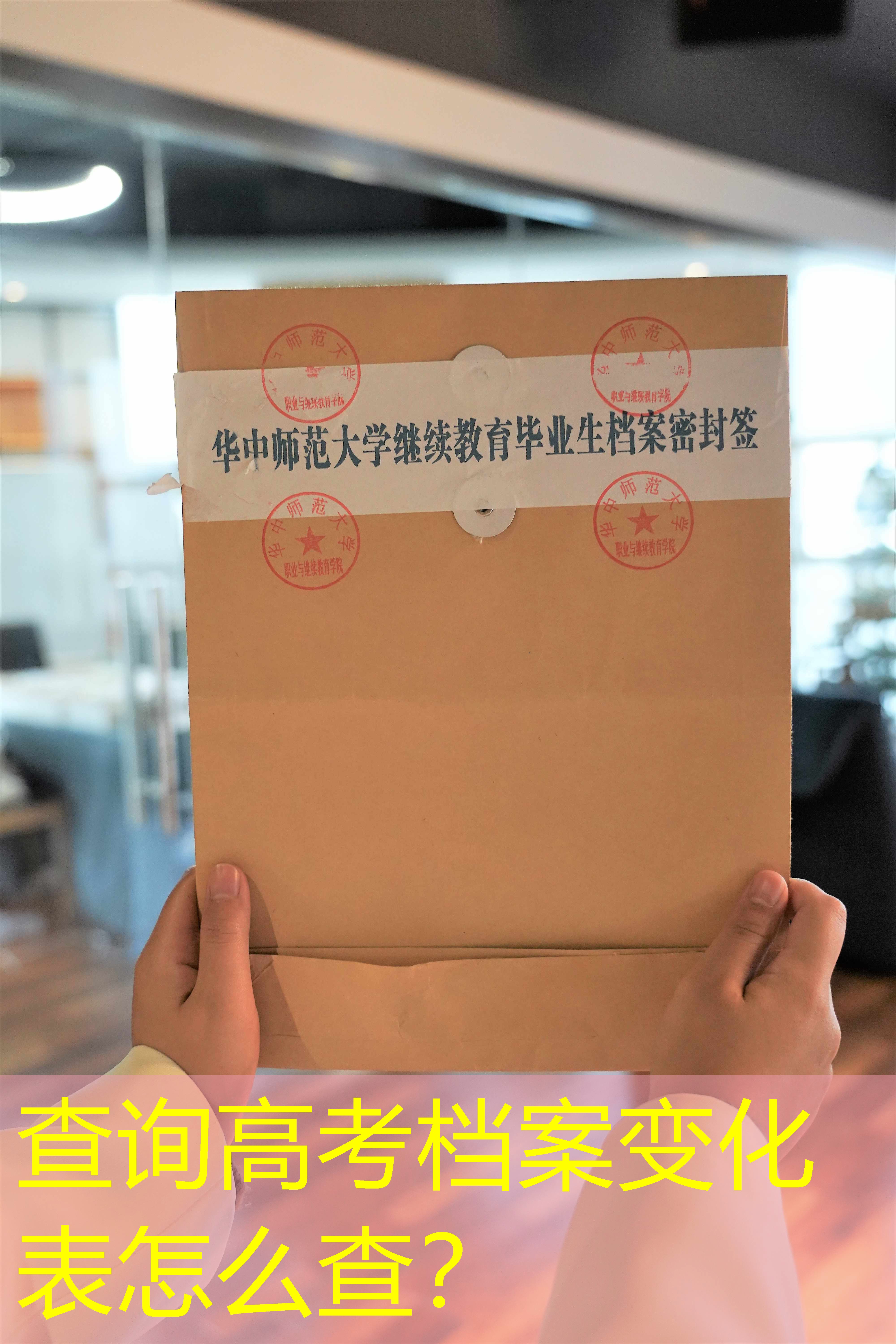档案查询