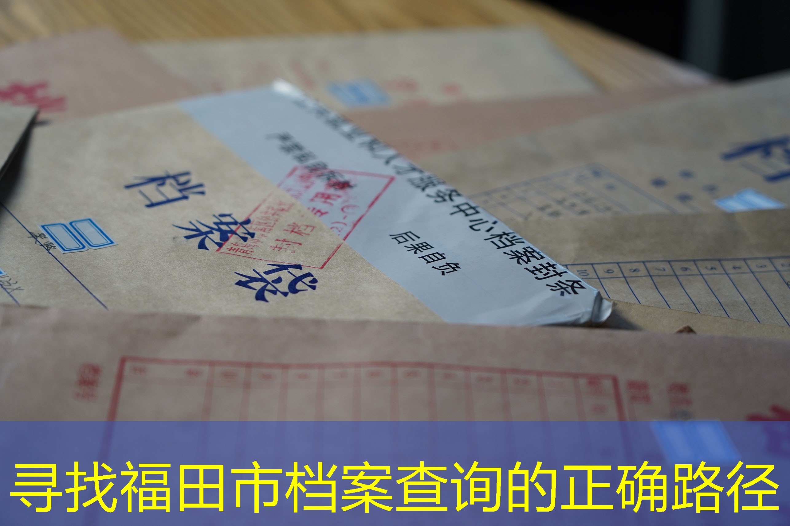 档案查询
