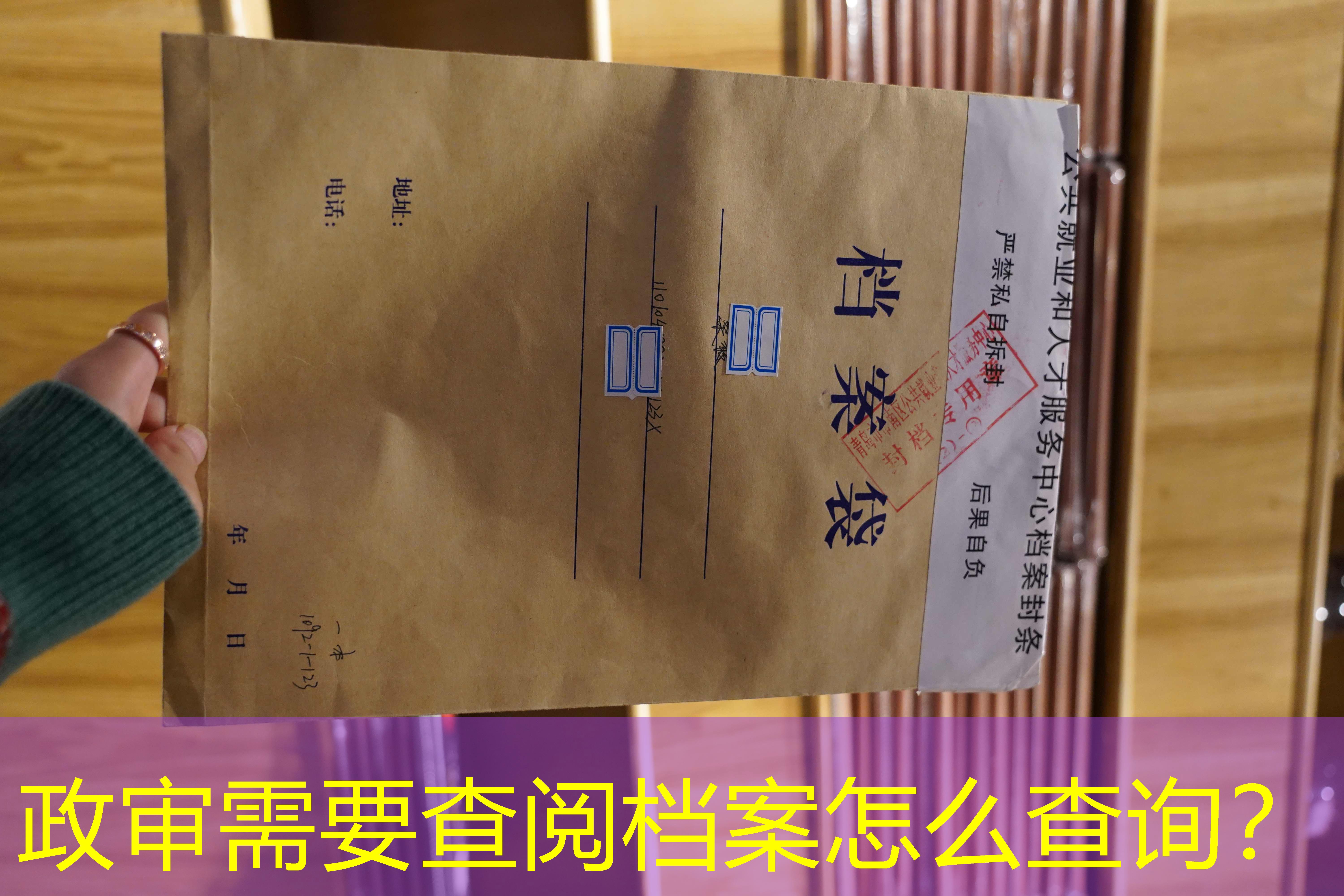 档案查询