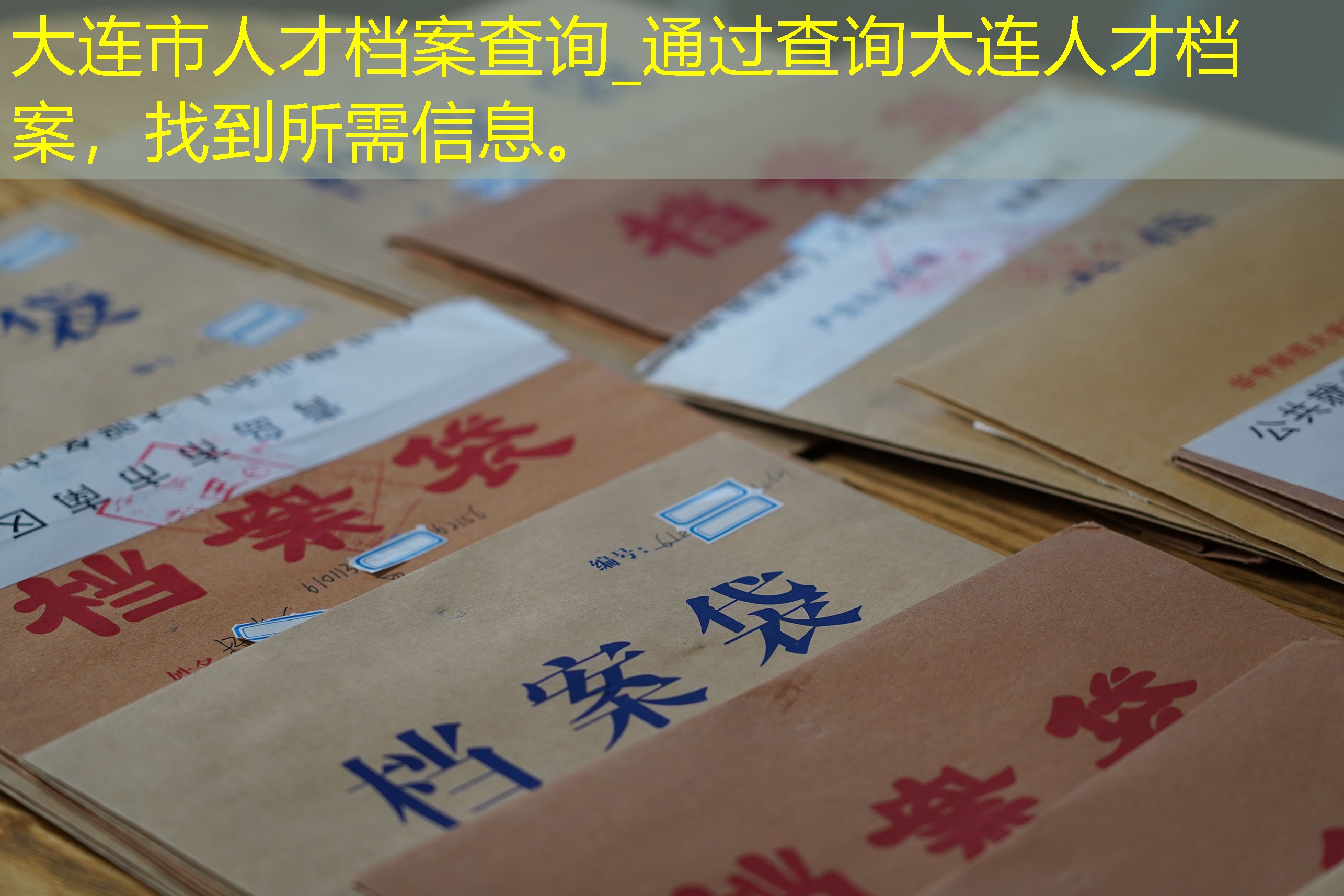 档案查询