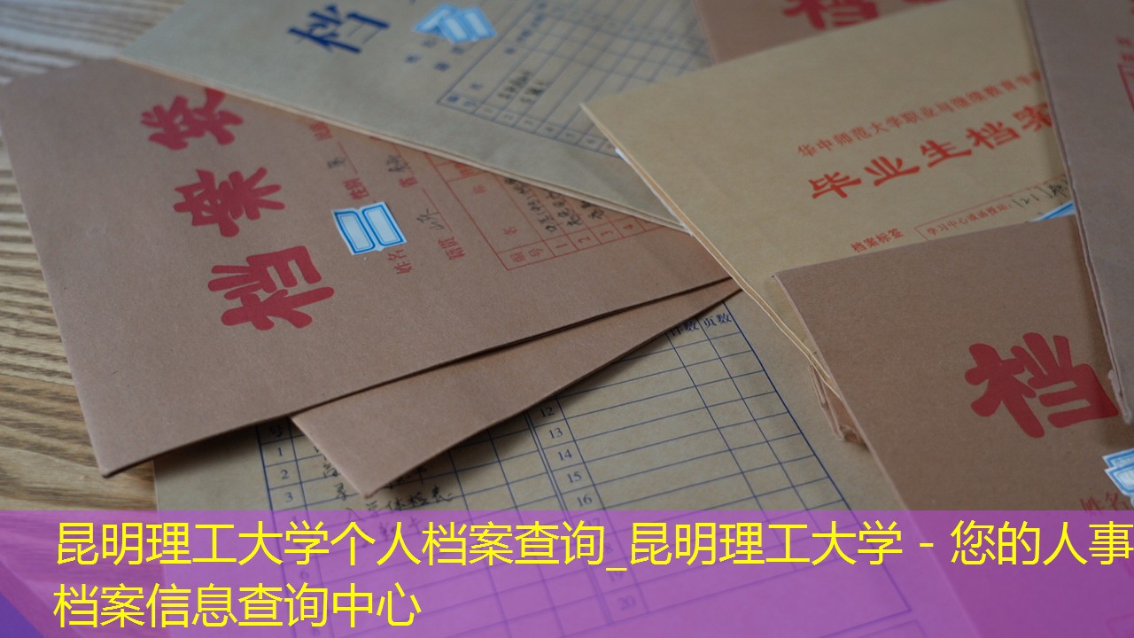 档案查询