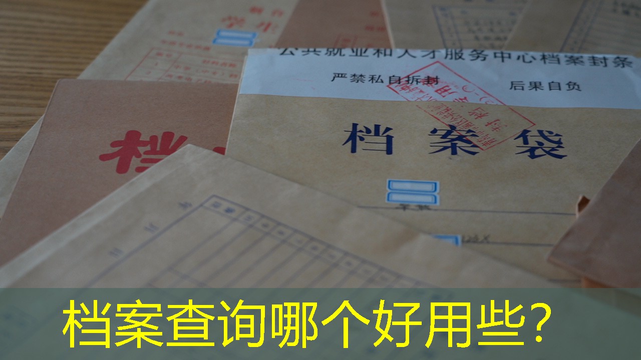 档案查询