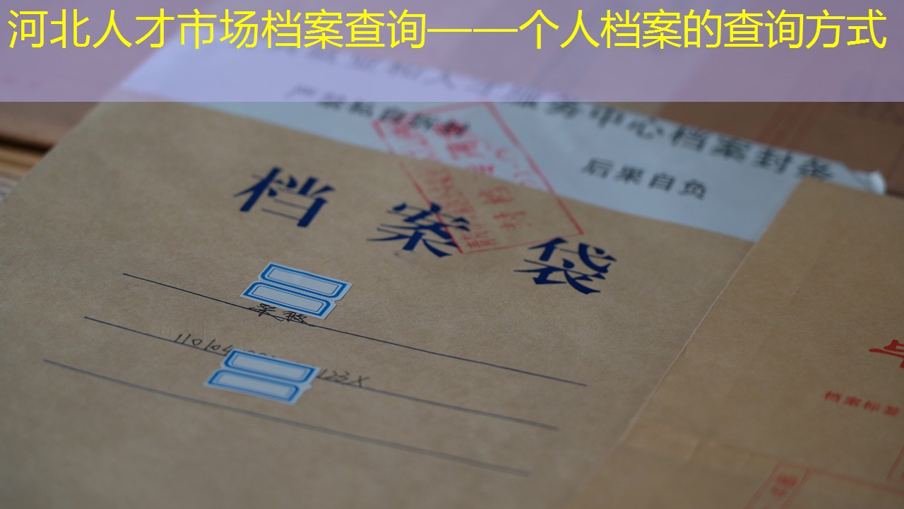 档案查询