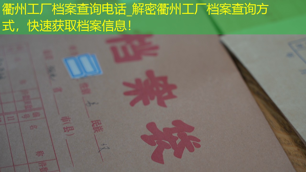 档案查询