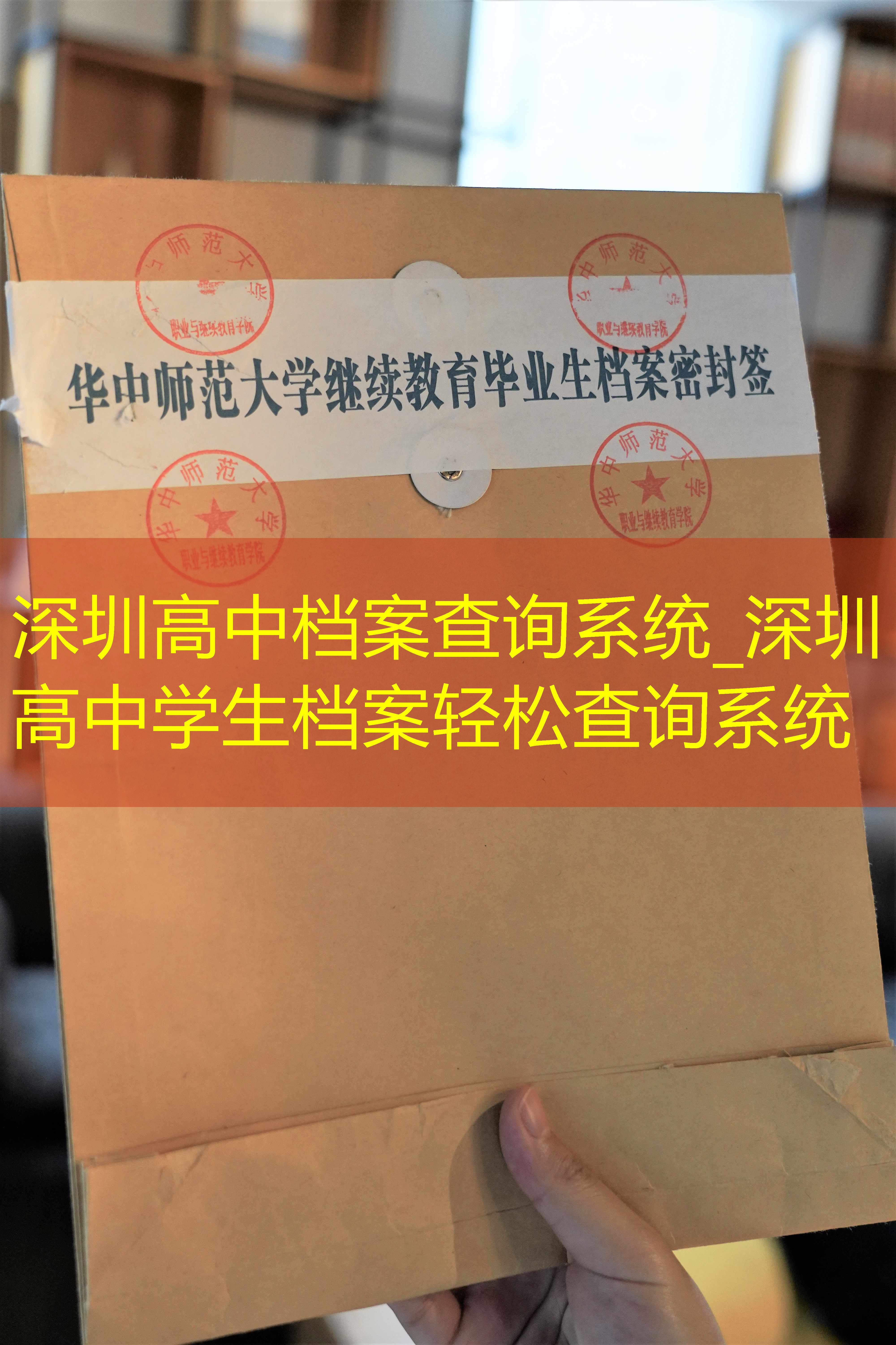 档案查询