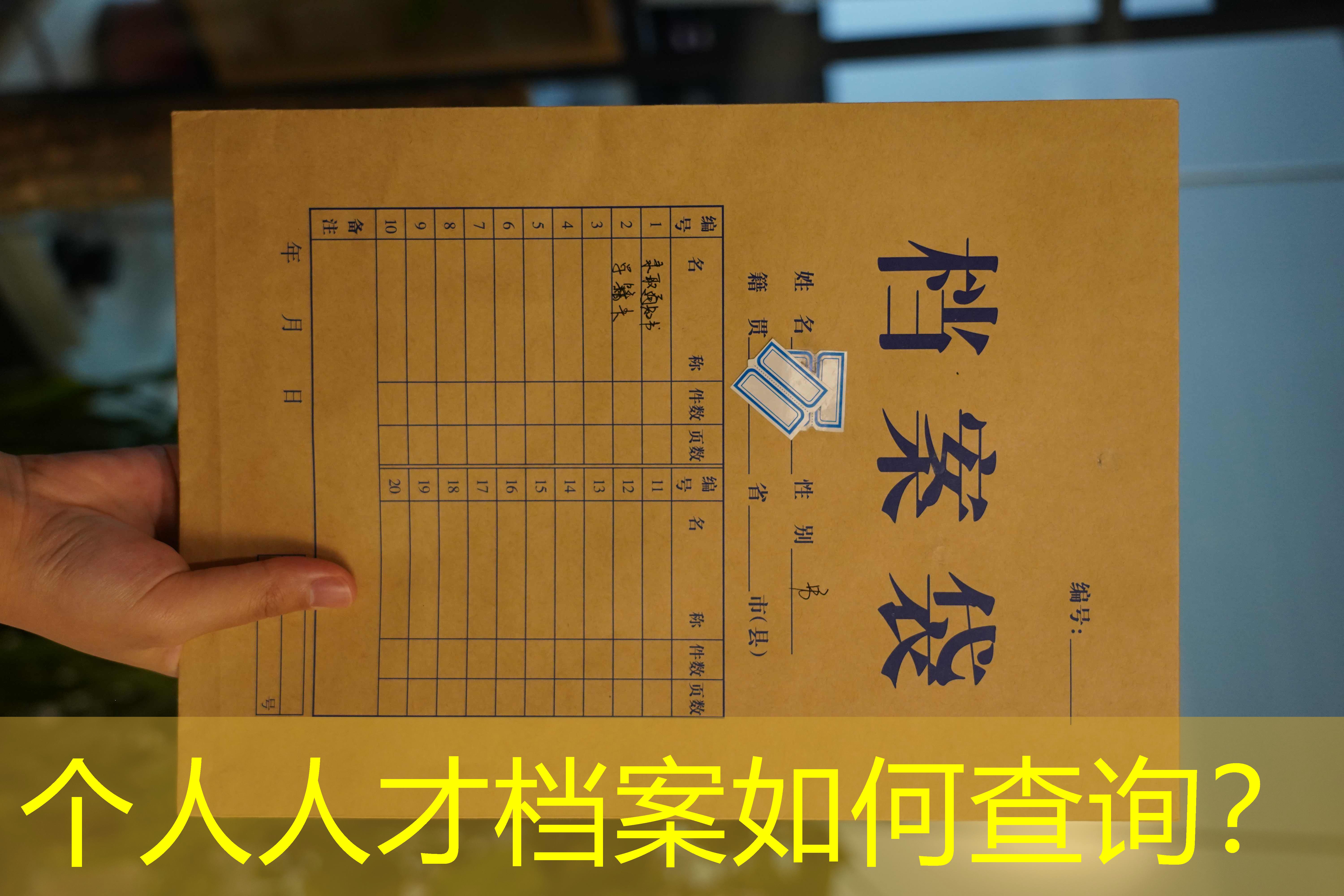档案查询