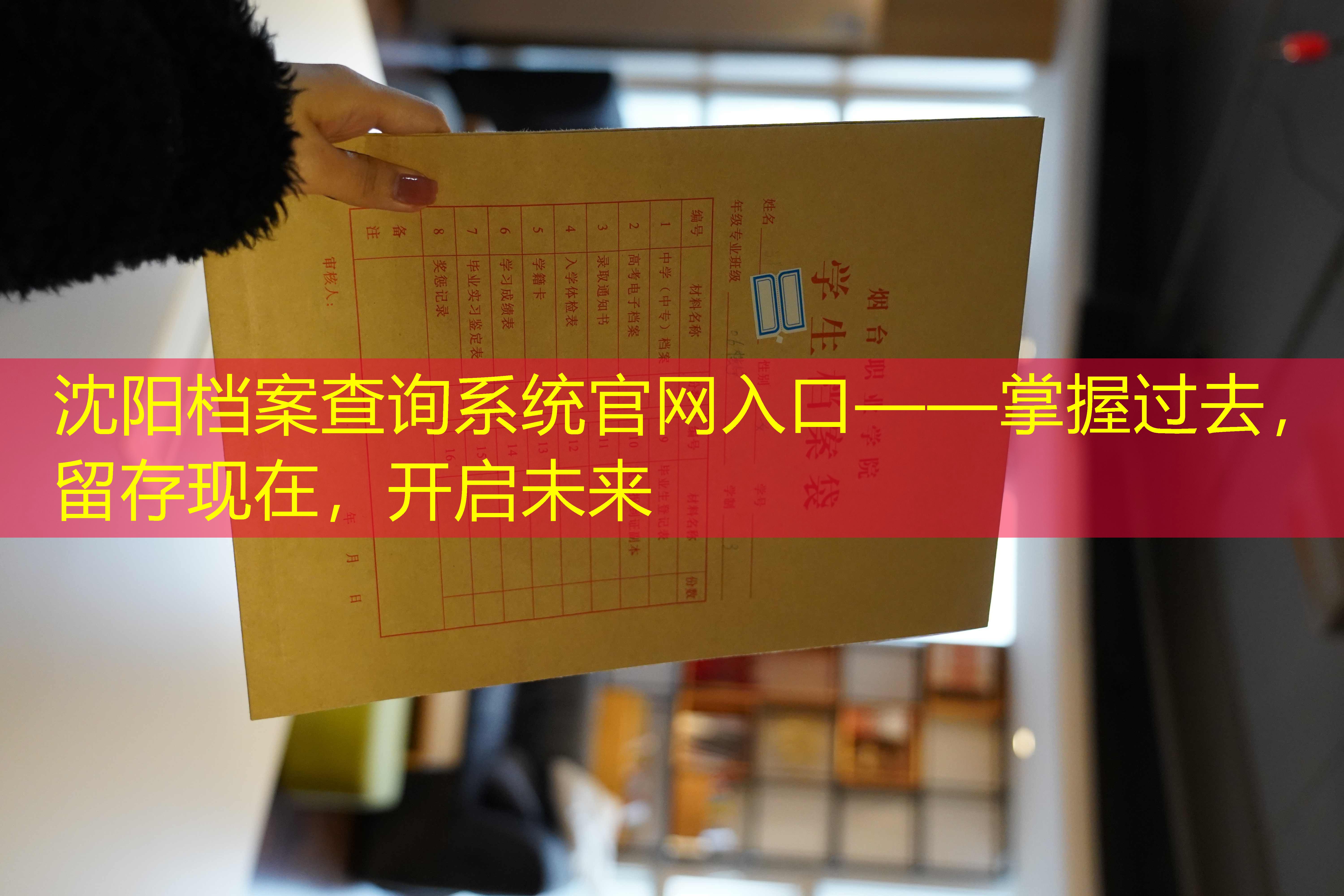 档案查询