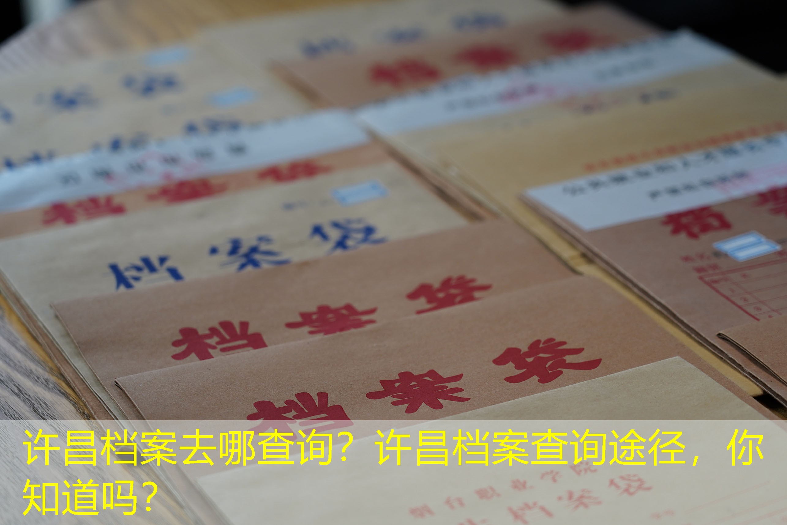 档案查询