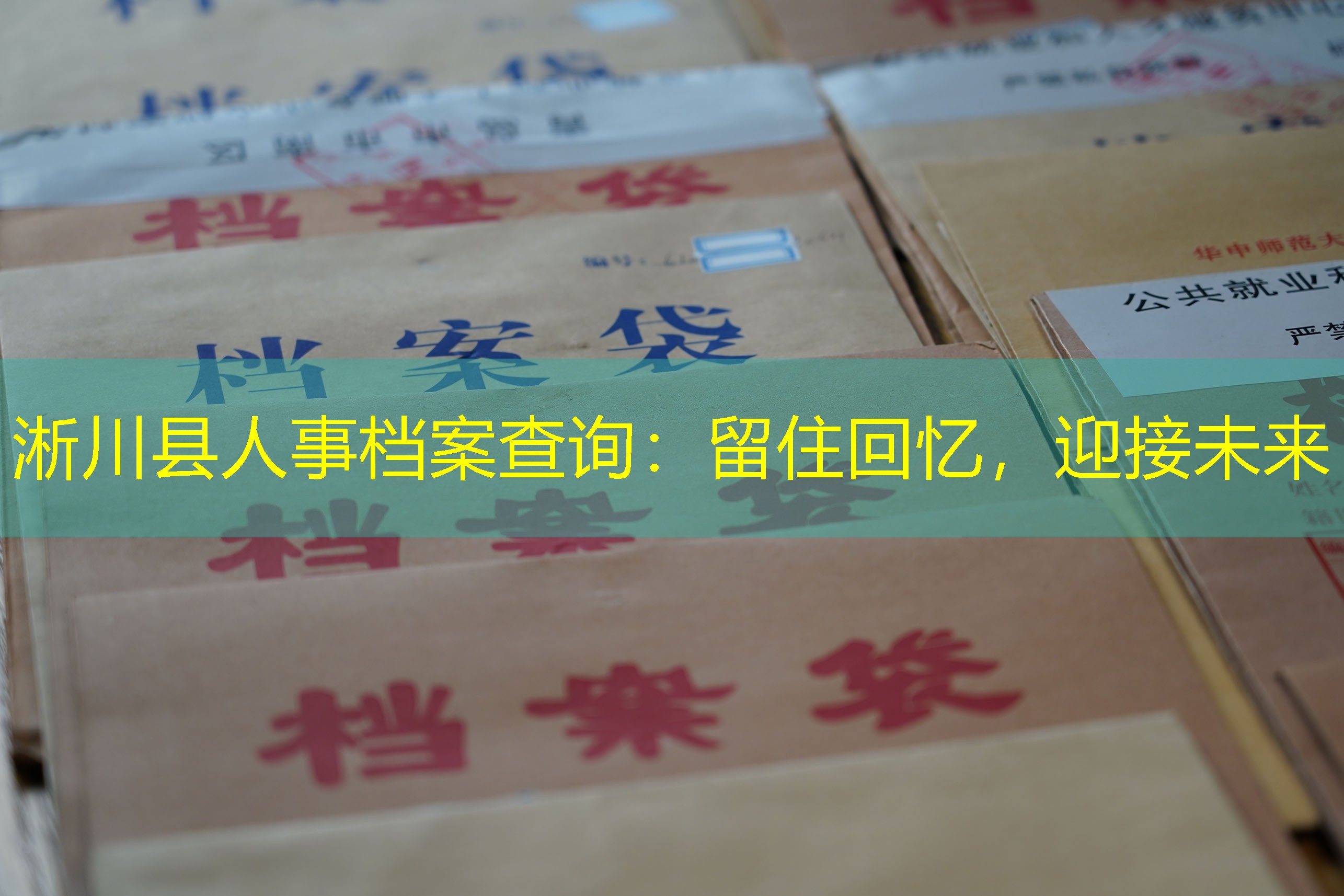 档案查询