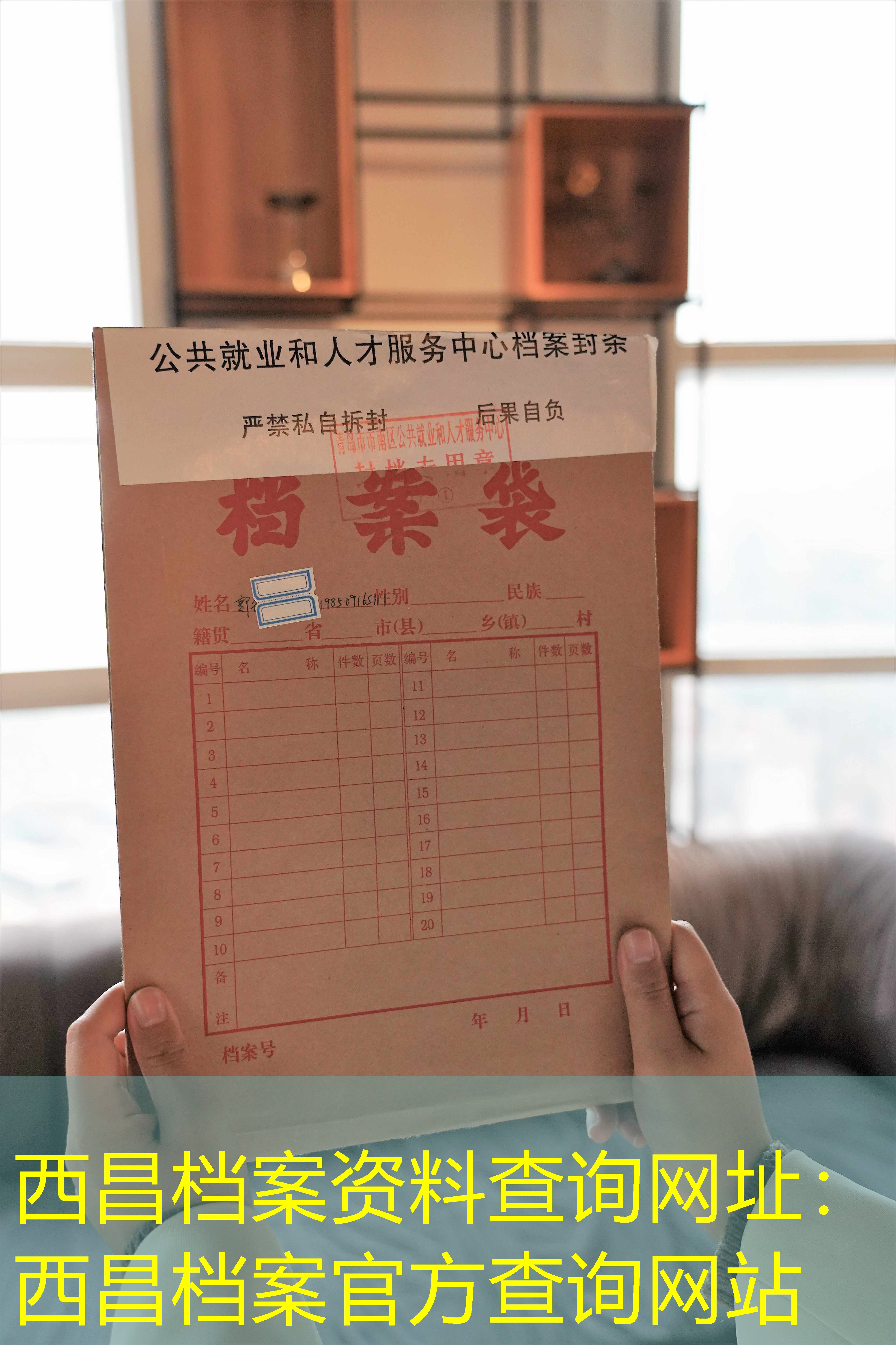 档案查询
