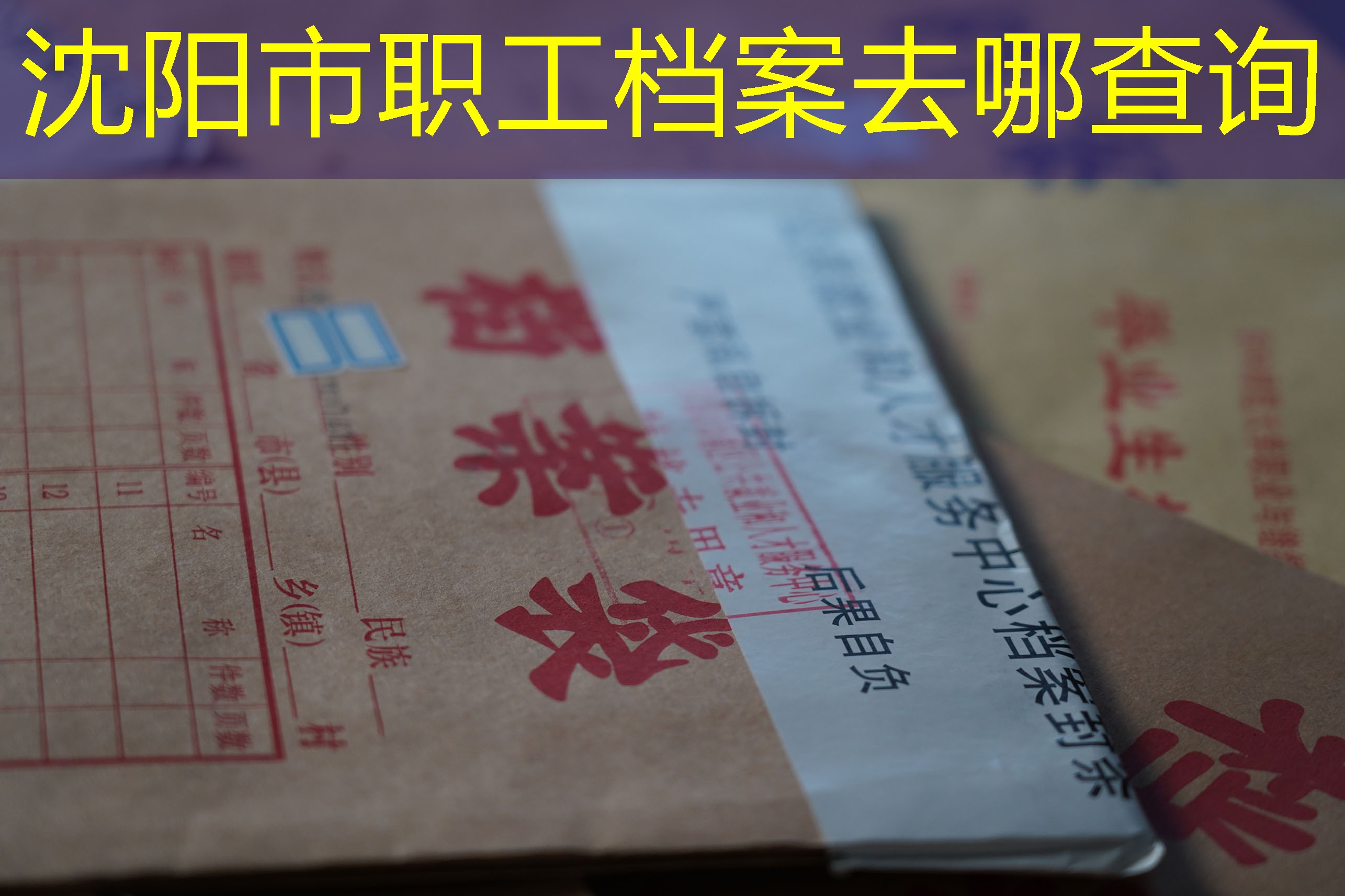 档案查询