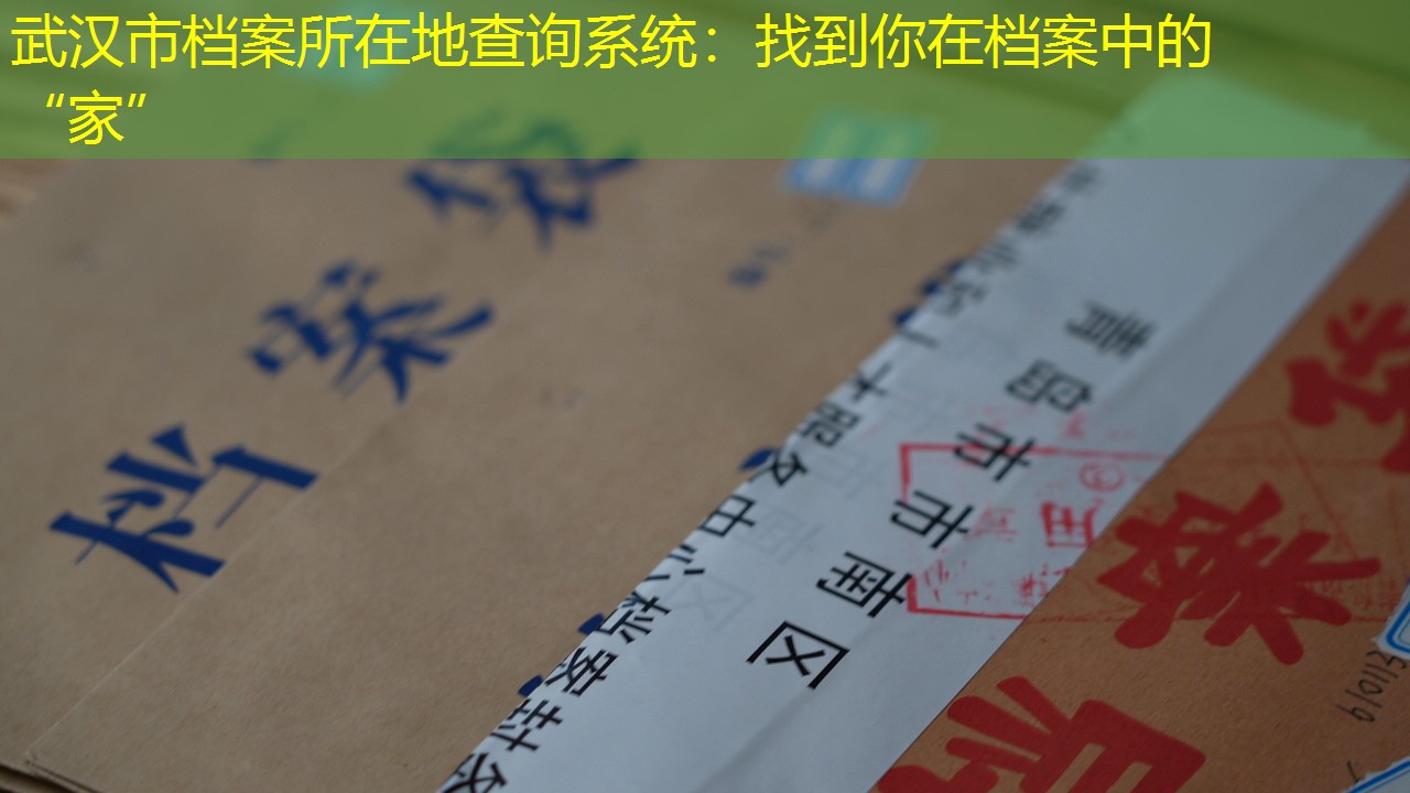 档案查询