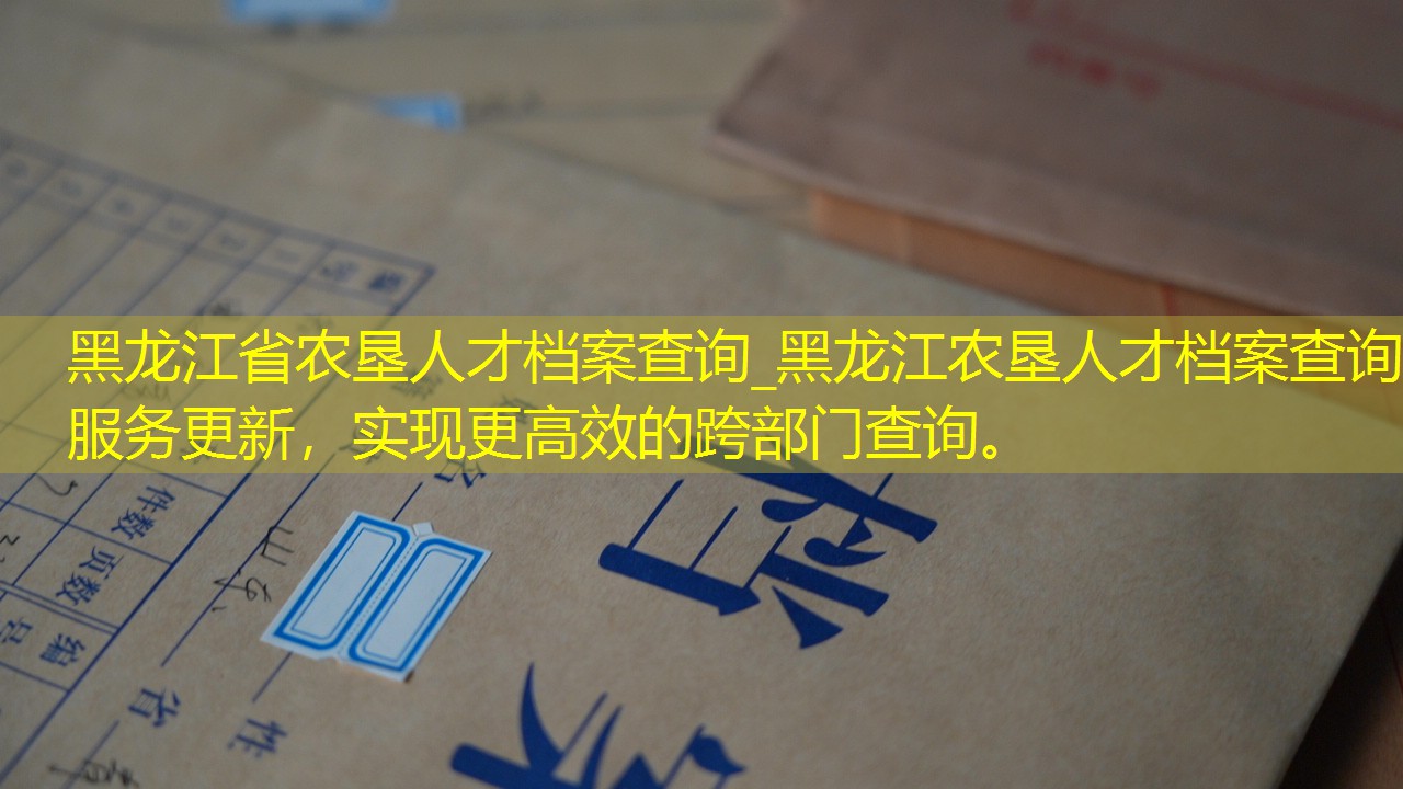 档案查询
