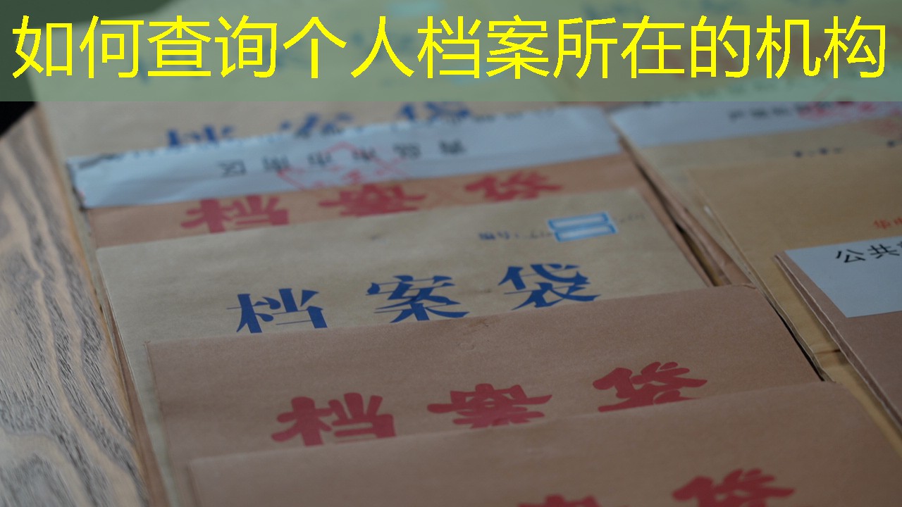 档案查询