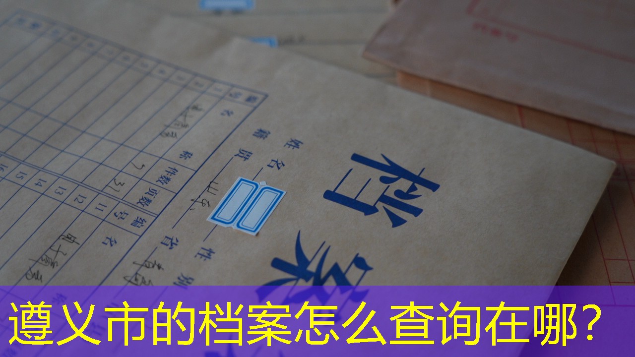 档案查询