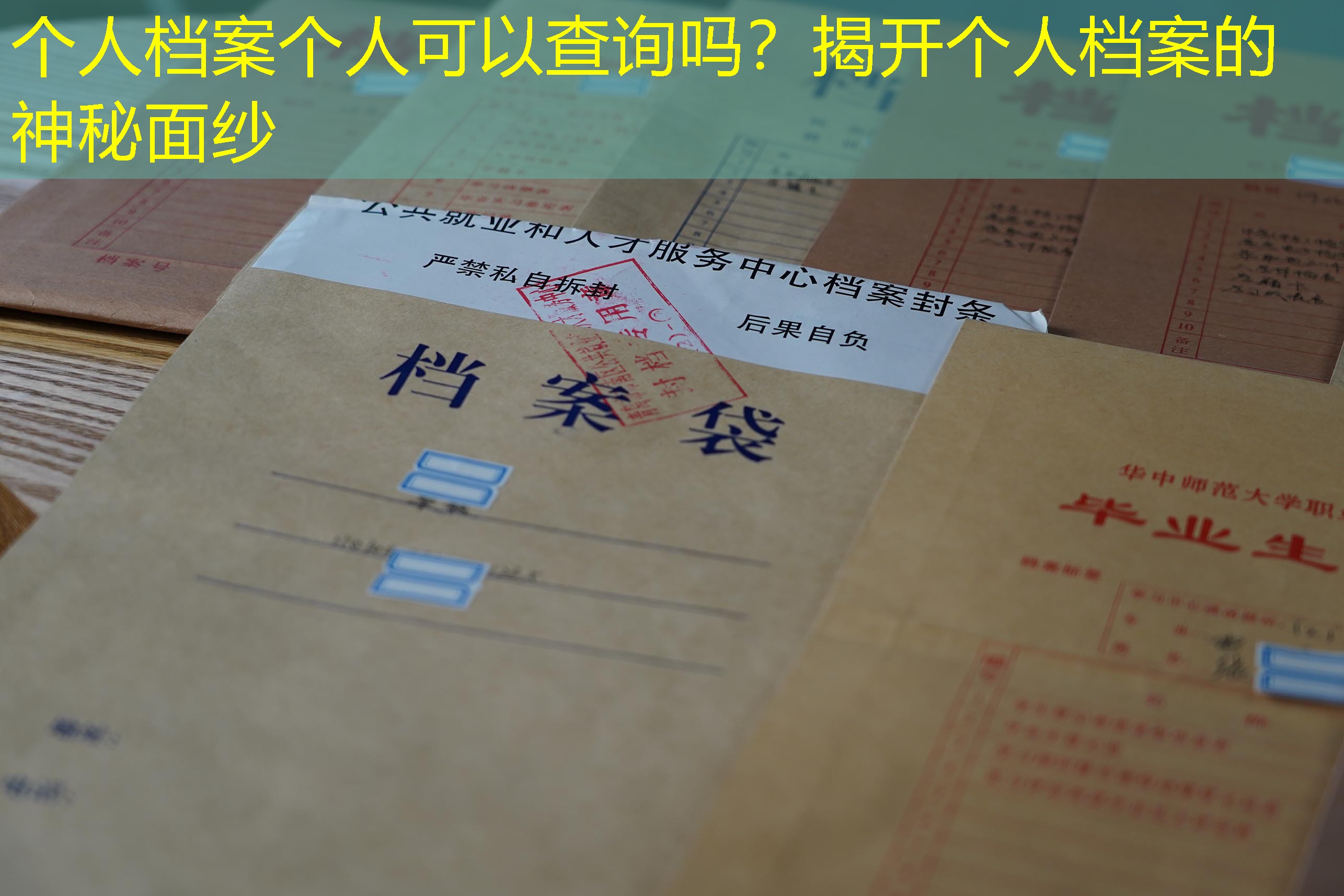 档案查询