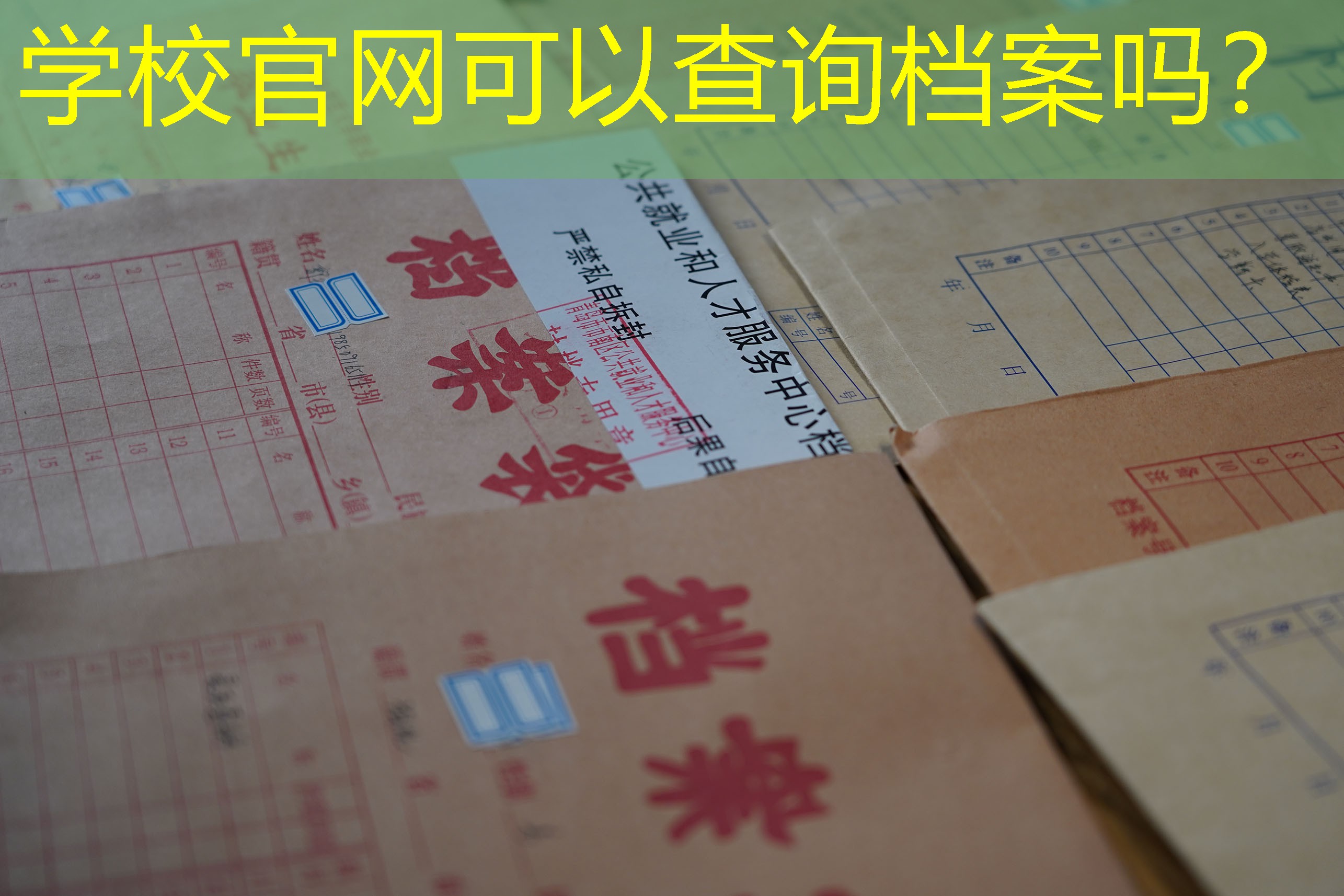档案查询