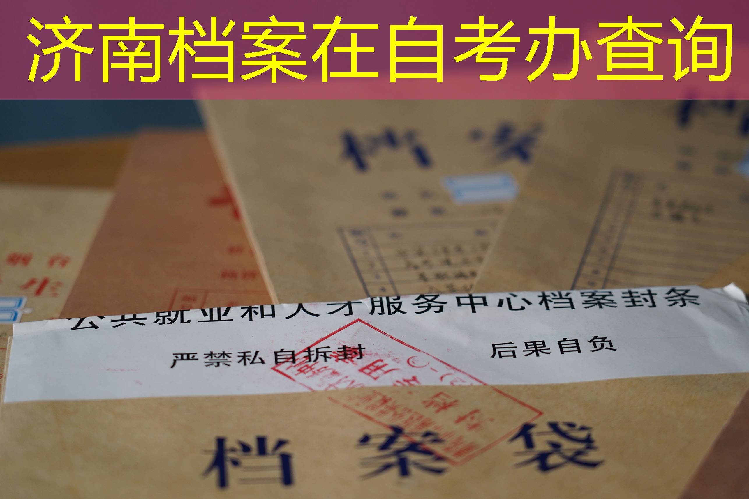 档案查询