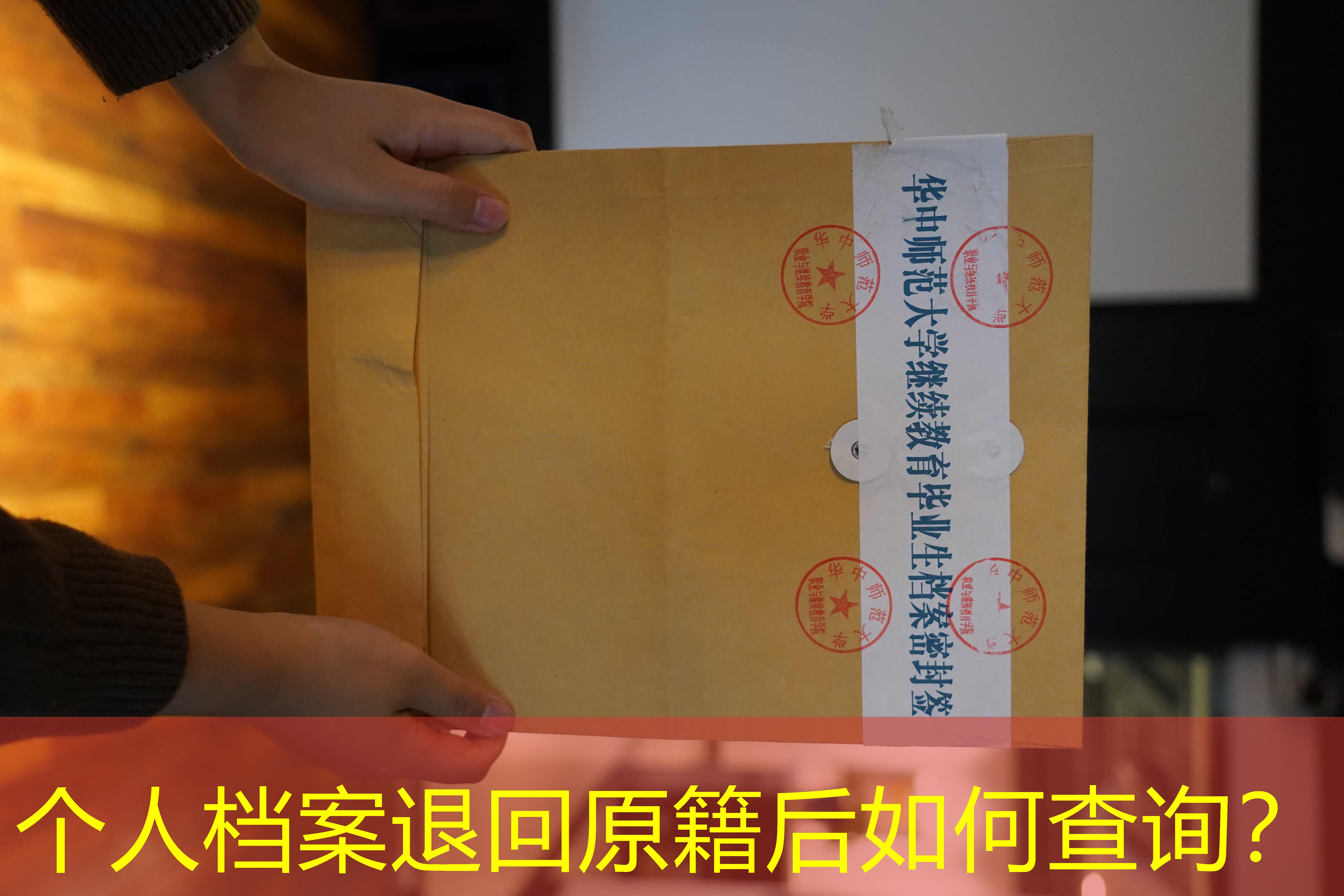 档案查询