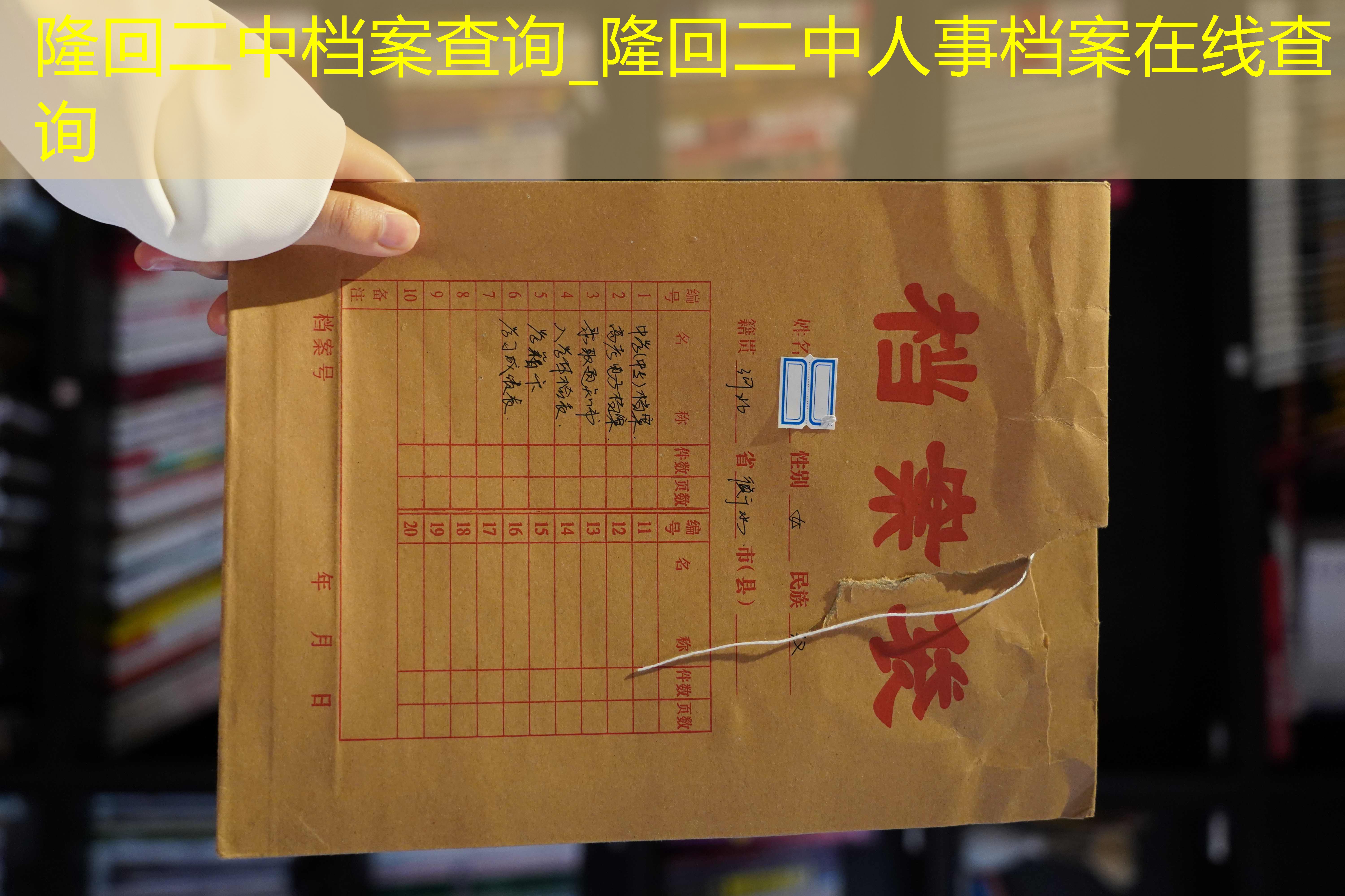 档案查询