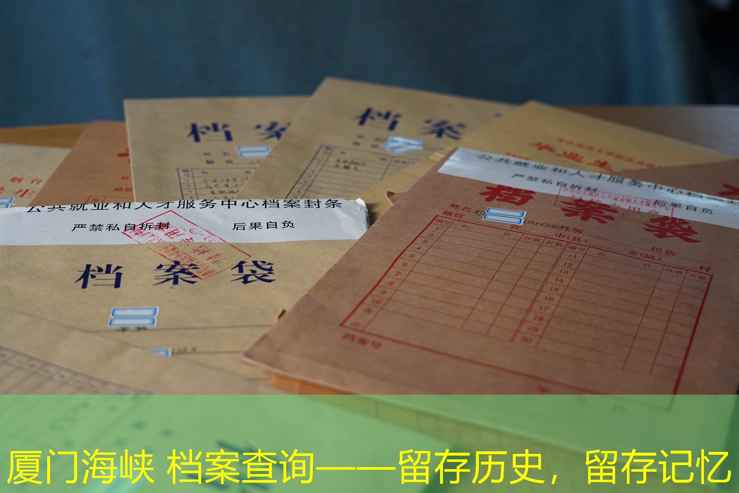 档案查询