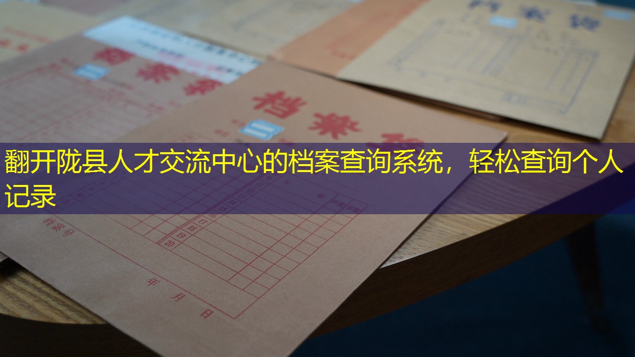 档案查询