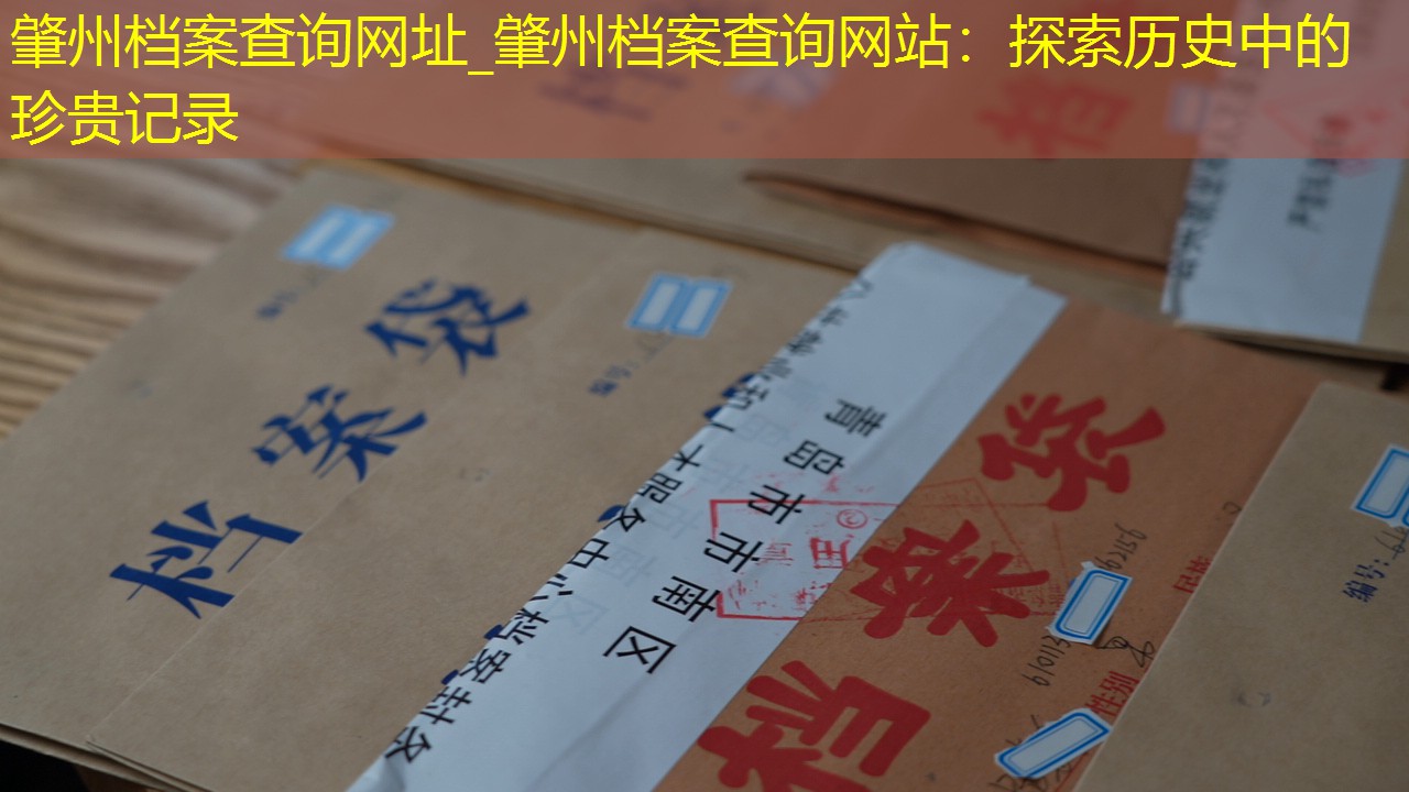 档案查询