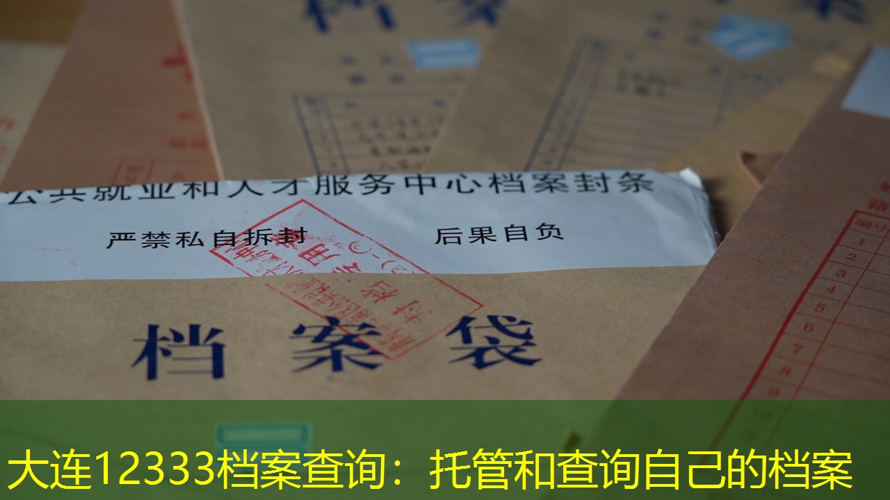 档案查询