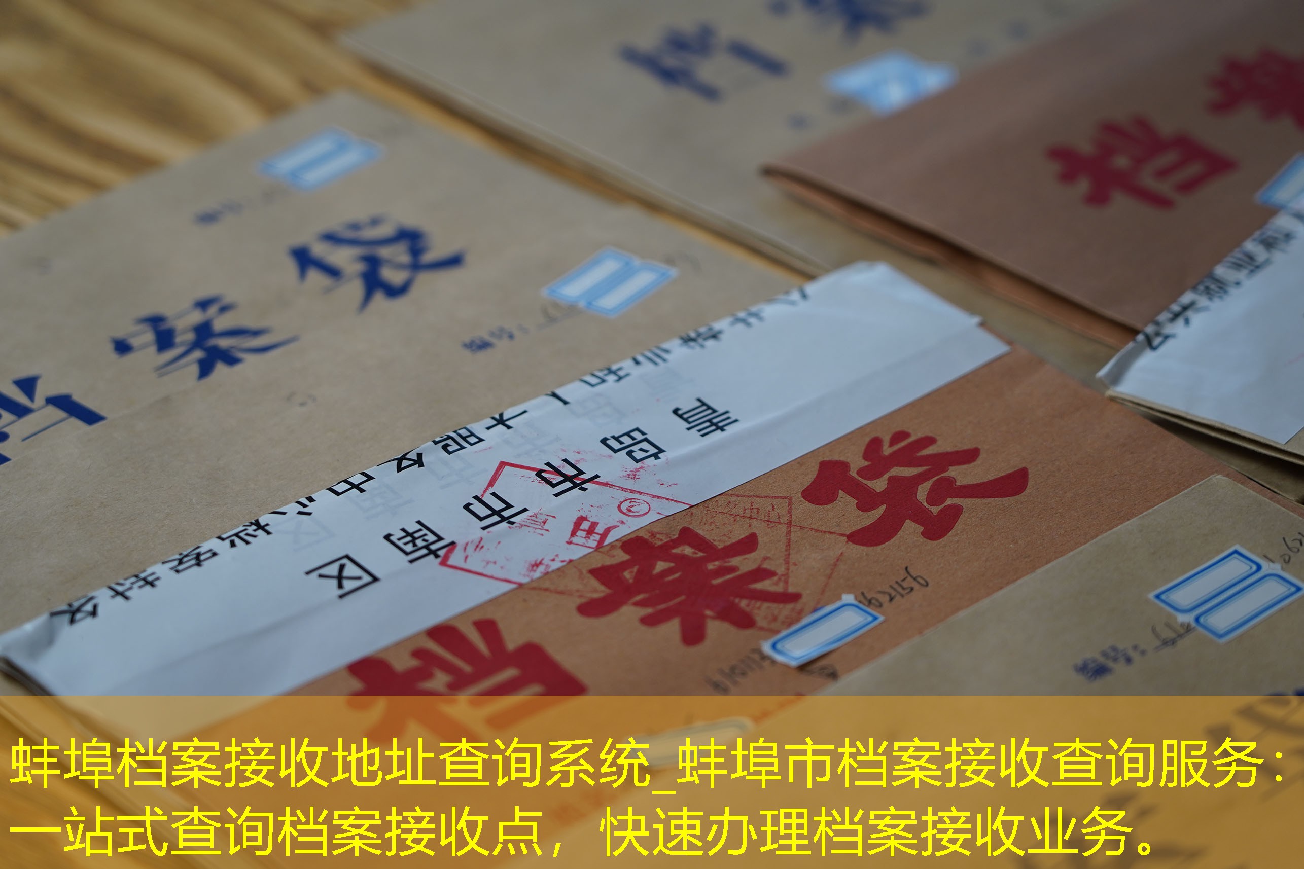 档案查询